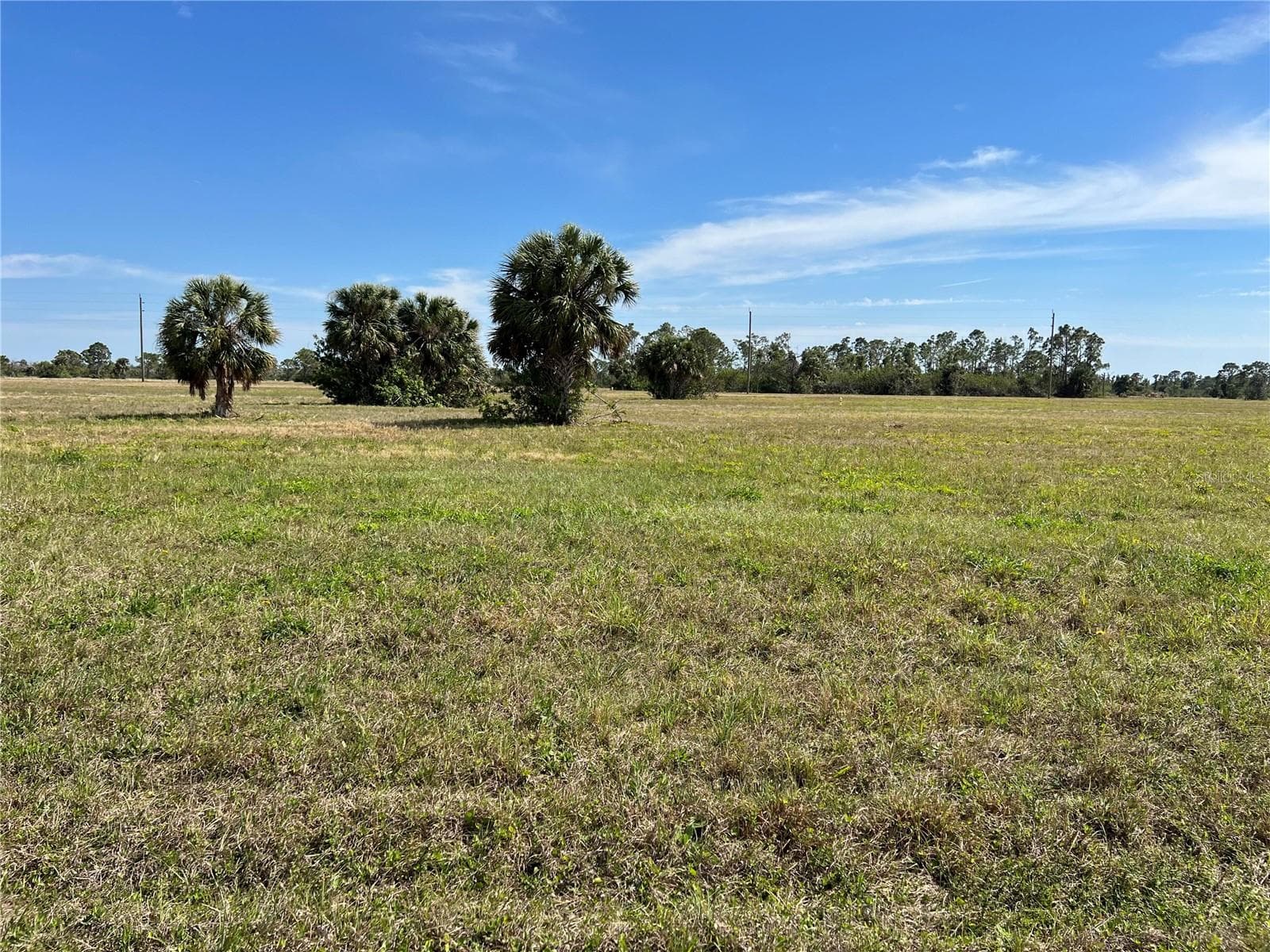 Land at 12368 GREENLING WAY, PLACIDA, photo 4 of 13