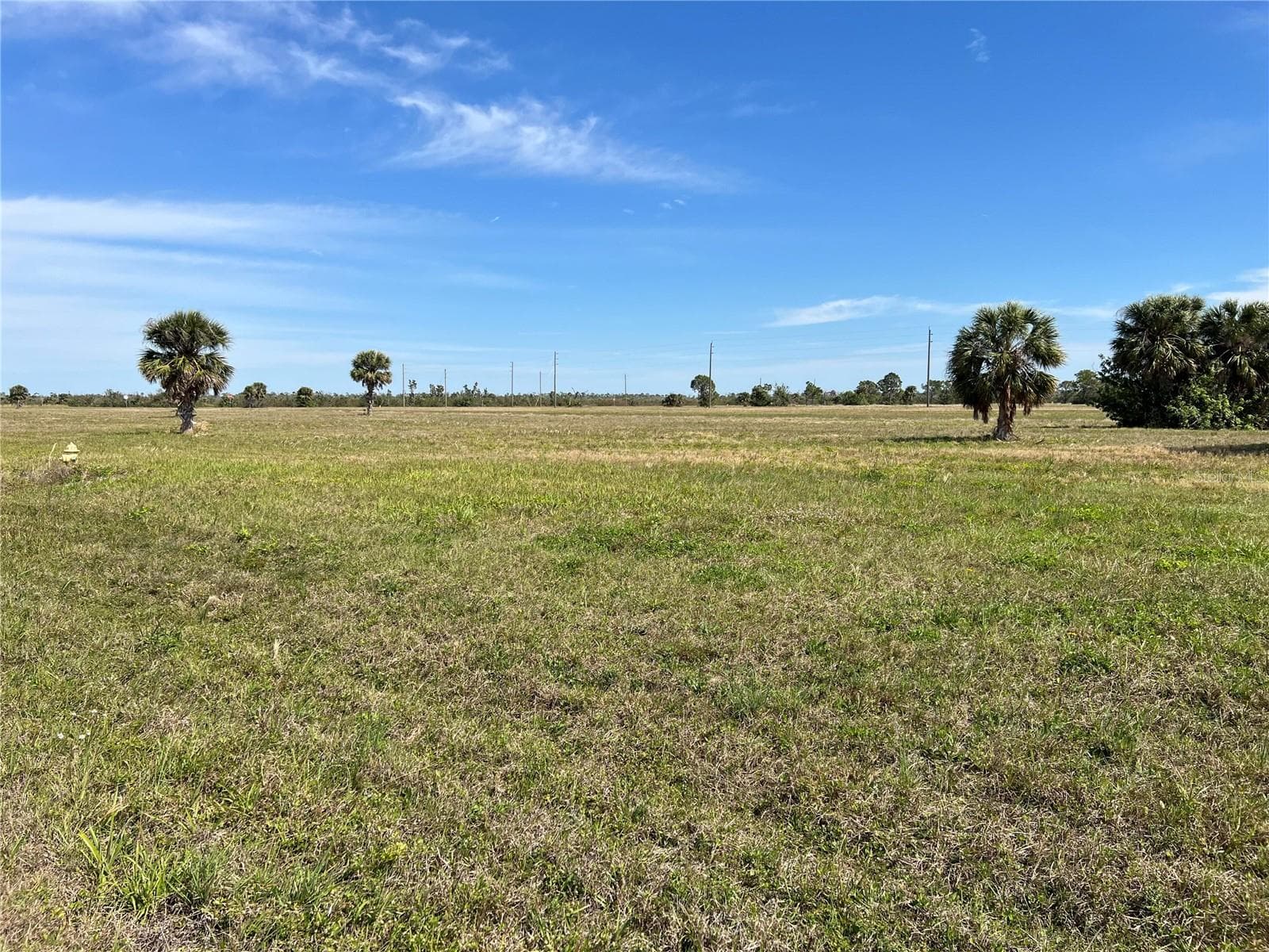 Land at 12368 GREENLING WAY, PLACIDA, photo 5 of 13