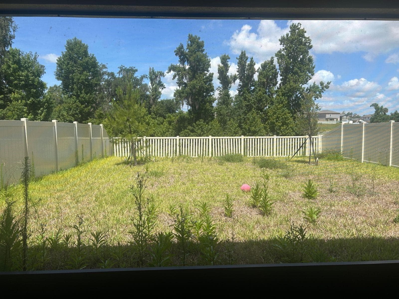 Single Family Residence at 4011 NORTHERN KEY DR, PLANT CITY, photo 6 of 8