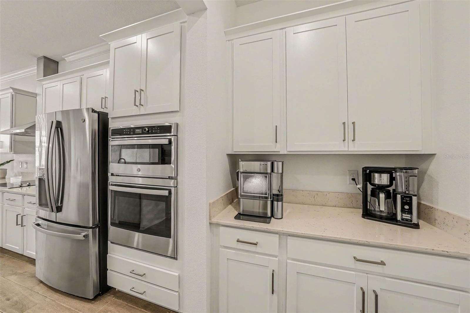 Butler pantry continues to impress! - 12840 BERGSTROM BAY DR, RIVERVIEW