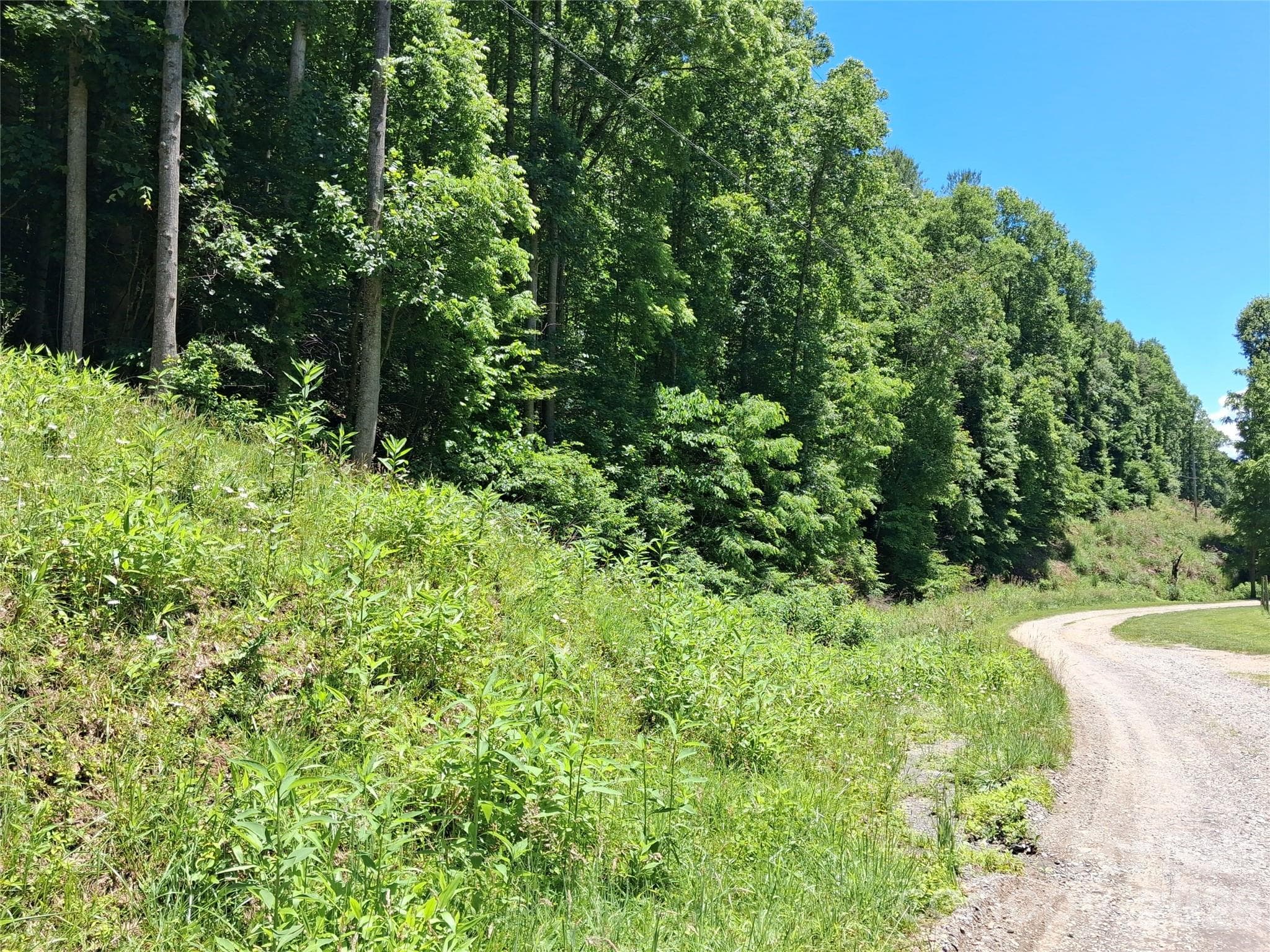 Acreage at Mars Hill, photo 3 of 14