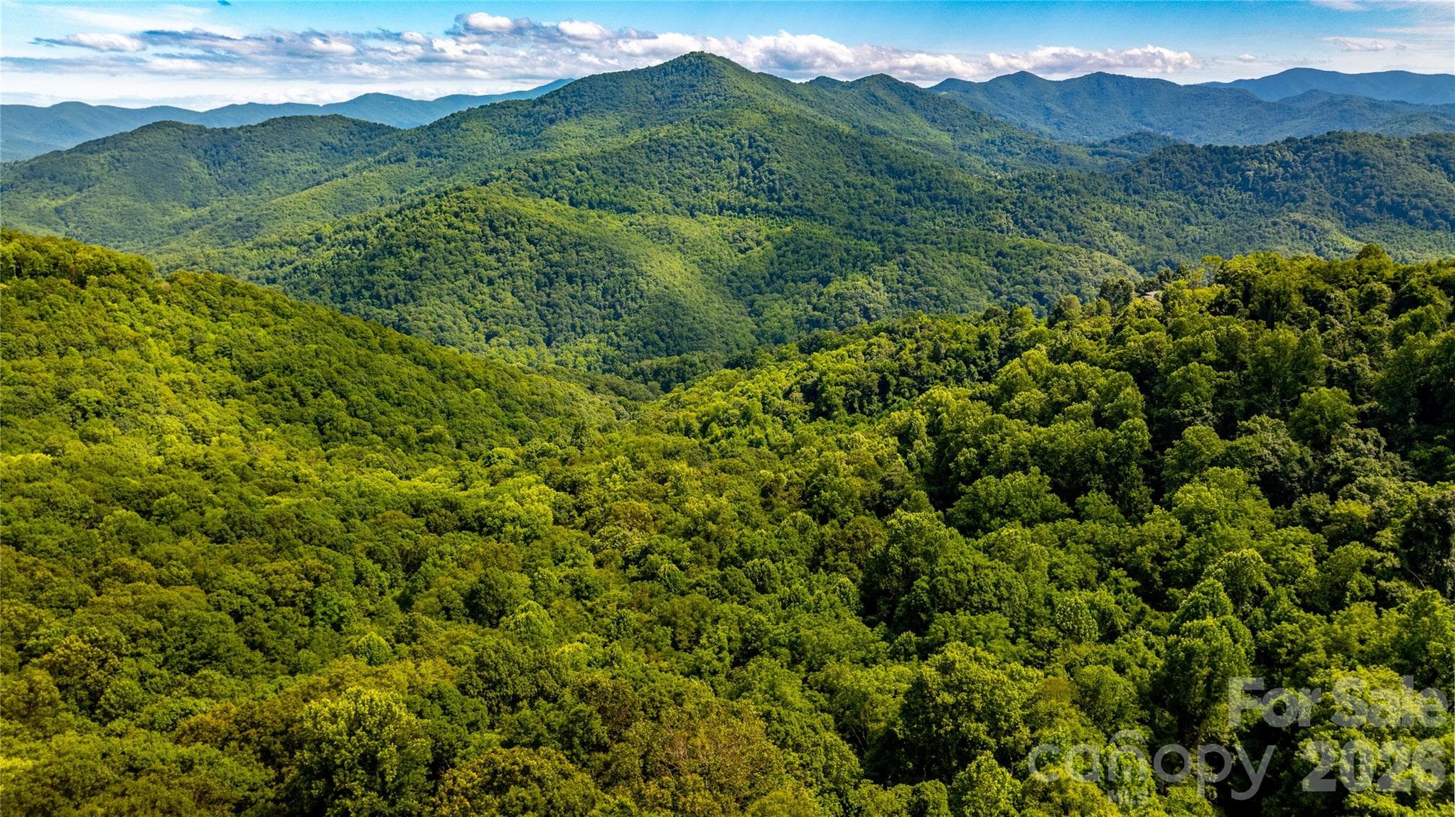 Acreage at 0000 High Rock View Drive, Canton, photo 7 of 19