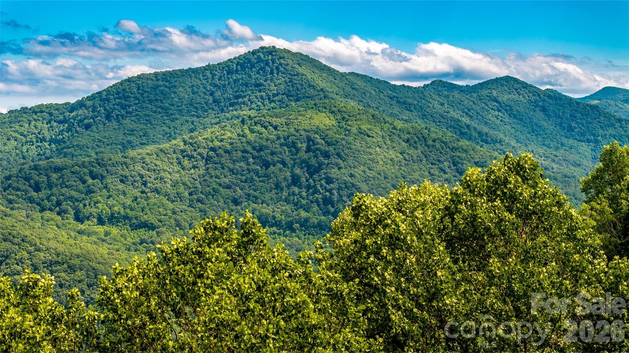 Acreage at 0000 High Rock View Drive, Canton, photo 9 of 19