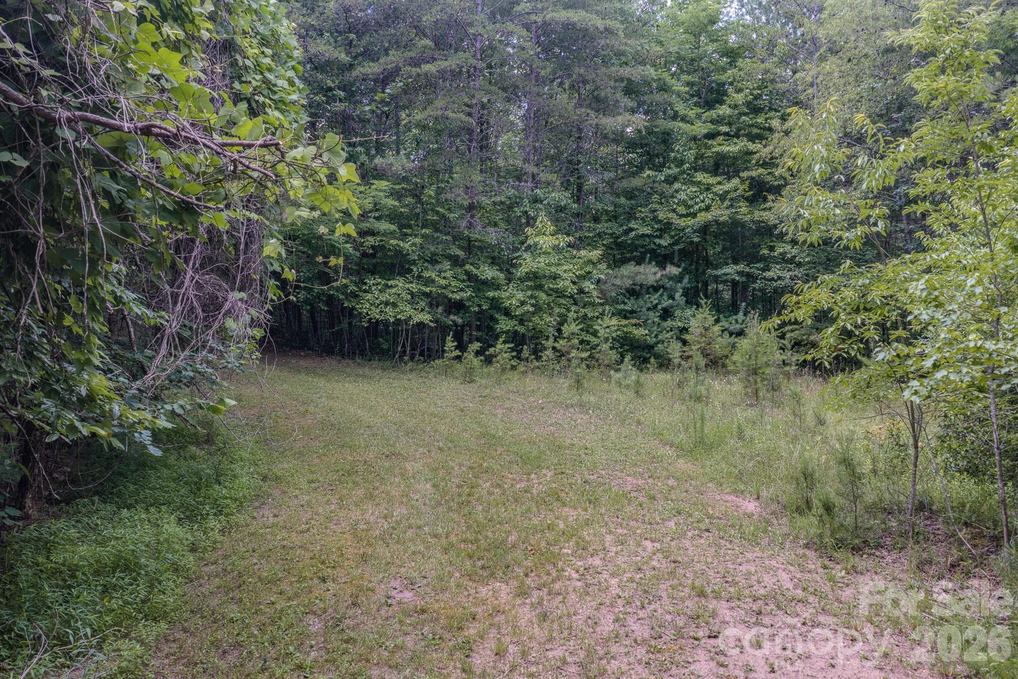Driveway continues all the way to the top lot - 35 Coweeta Ridge Road, Otto