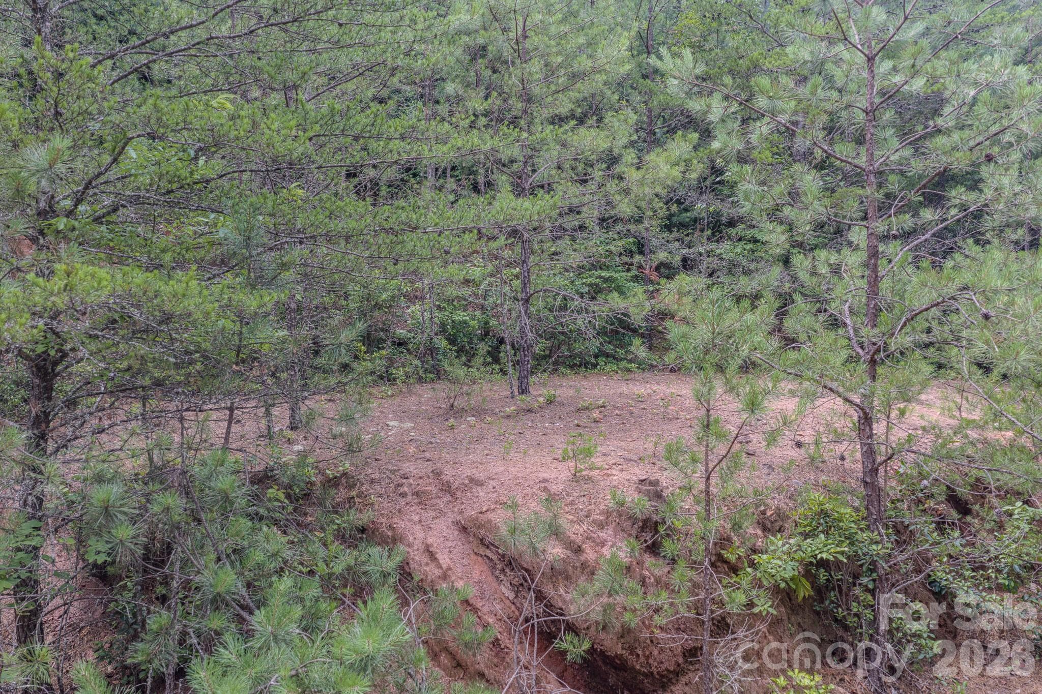 Top lot has an installed well - 35 Coweeta Ridge Road, Otto