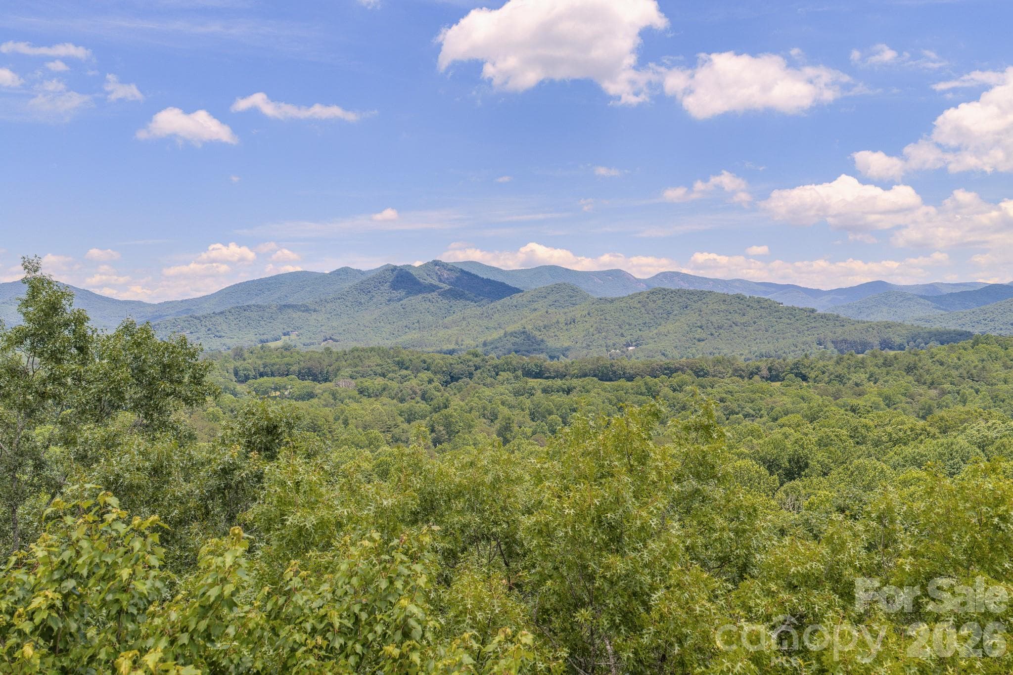 4+ acre lot has beautiful view potential with tree removal. This is a drone shot just over the tops of those trees - 35 Coweeta Ridge Road, Otto