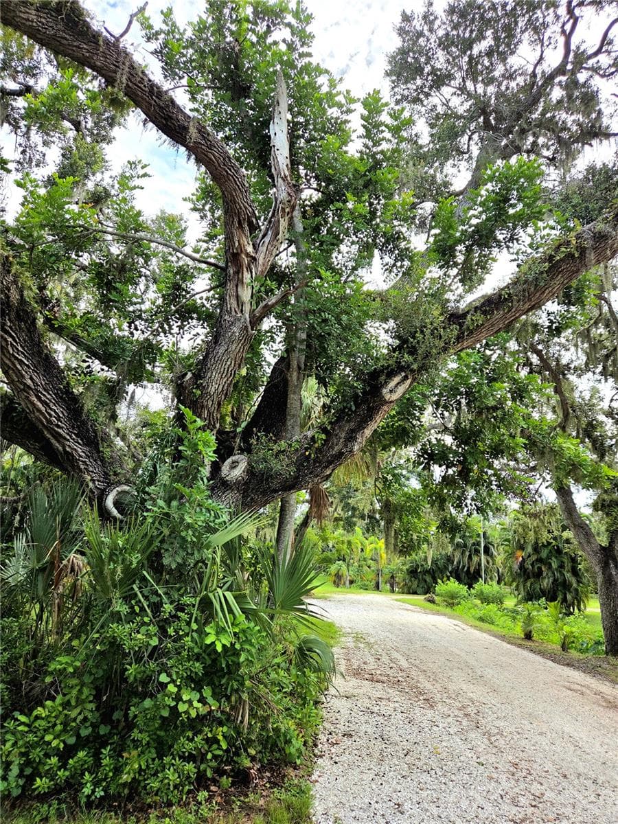 SECOND ENTRANCE TO PROPERTY - LEADS TO GUEST HOUSE #2 - 3348 ALAMO LN, SARASOTA