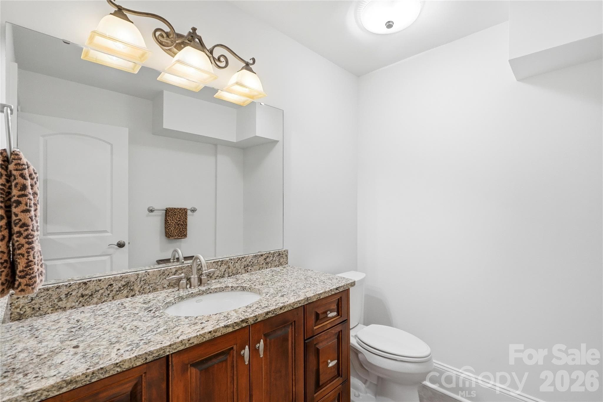 Single Family Residence at 16121 Tana Tea Circle, Tega Cay, photo 44 of 61