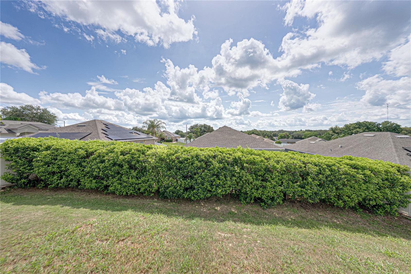 Single Family Residence at 7552 JENO ST, ZEPHYRHILLS, photo 34 of 34