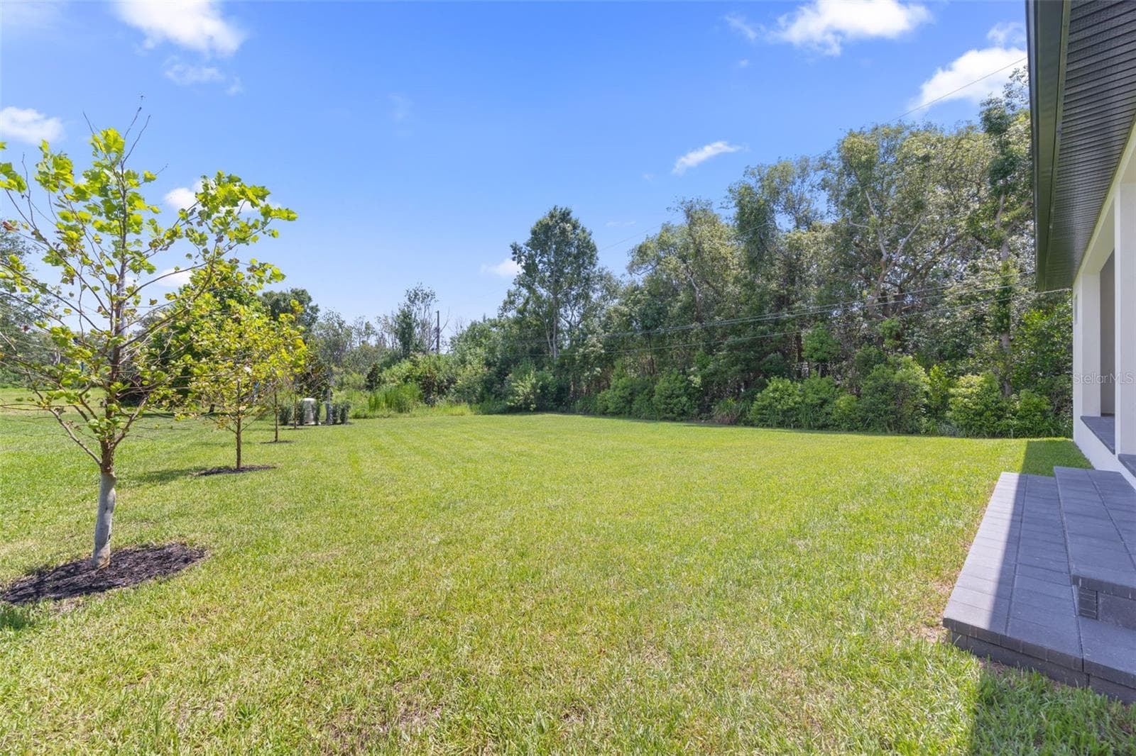 The oversized homesite backing to a conservation area provides a rare combination of privacy, natural beauty, and room to enjoy Florida living at its finest. - 1336 HAYS RD, TARPON SPRINGS