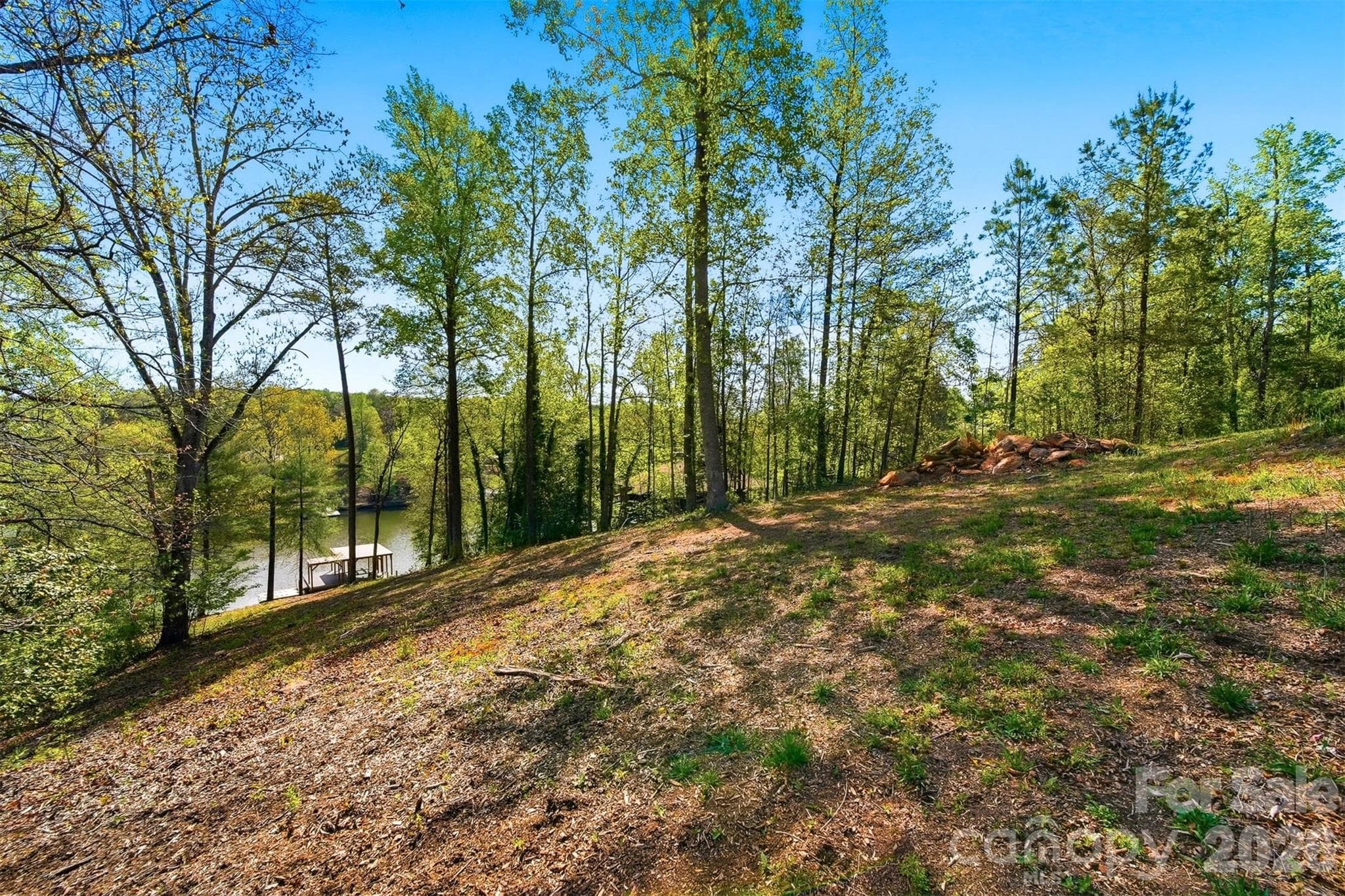 Gentle slope to the lake. - 5411 Icard Ridge Road, Hickory