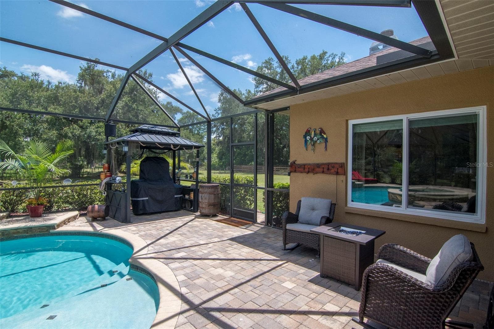 Pool - 3823 ANCIENT OAK TRL, PLANT CITY
