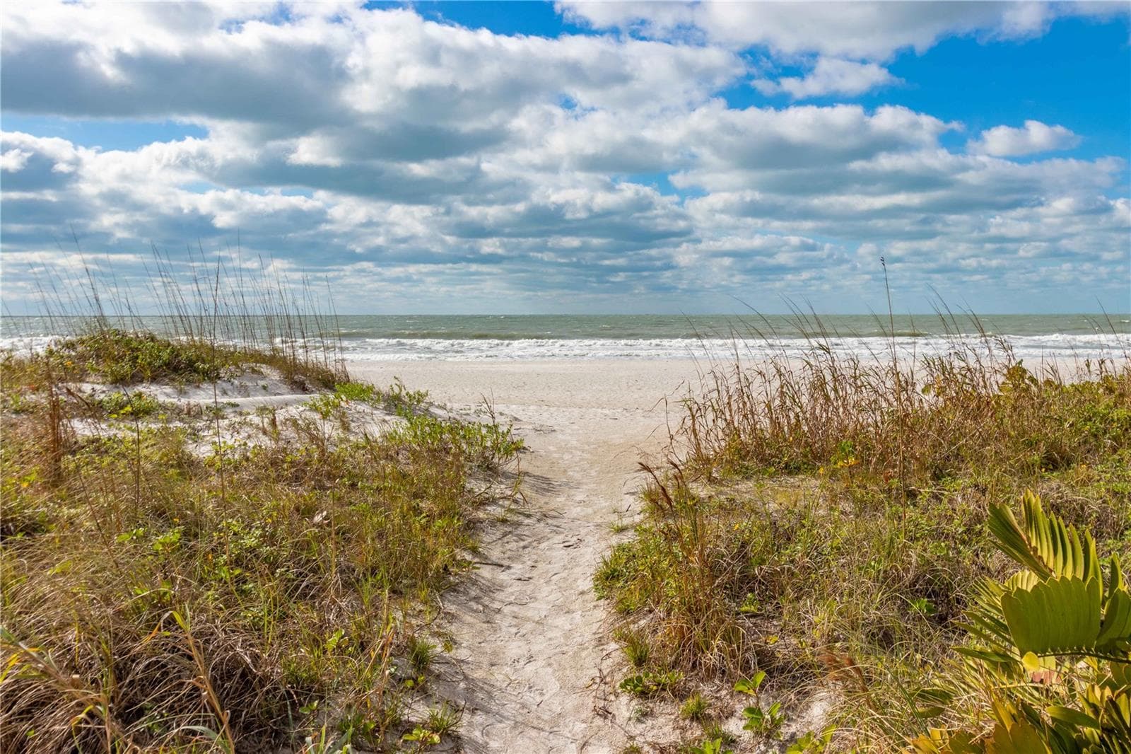Condominium at 1560 GULF BLVD #1607, CLEARWATER, photo 50 of 63