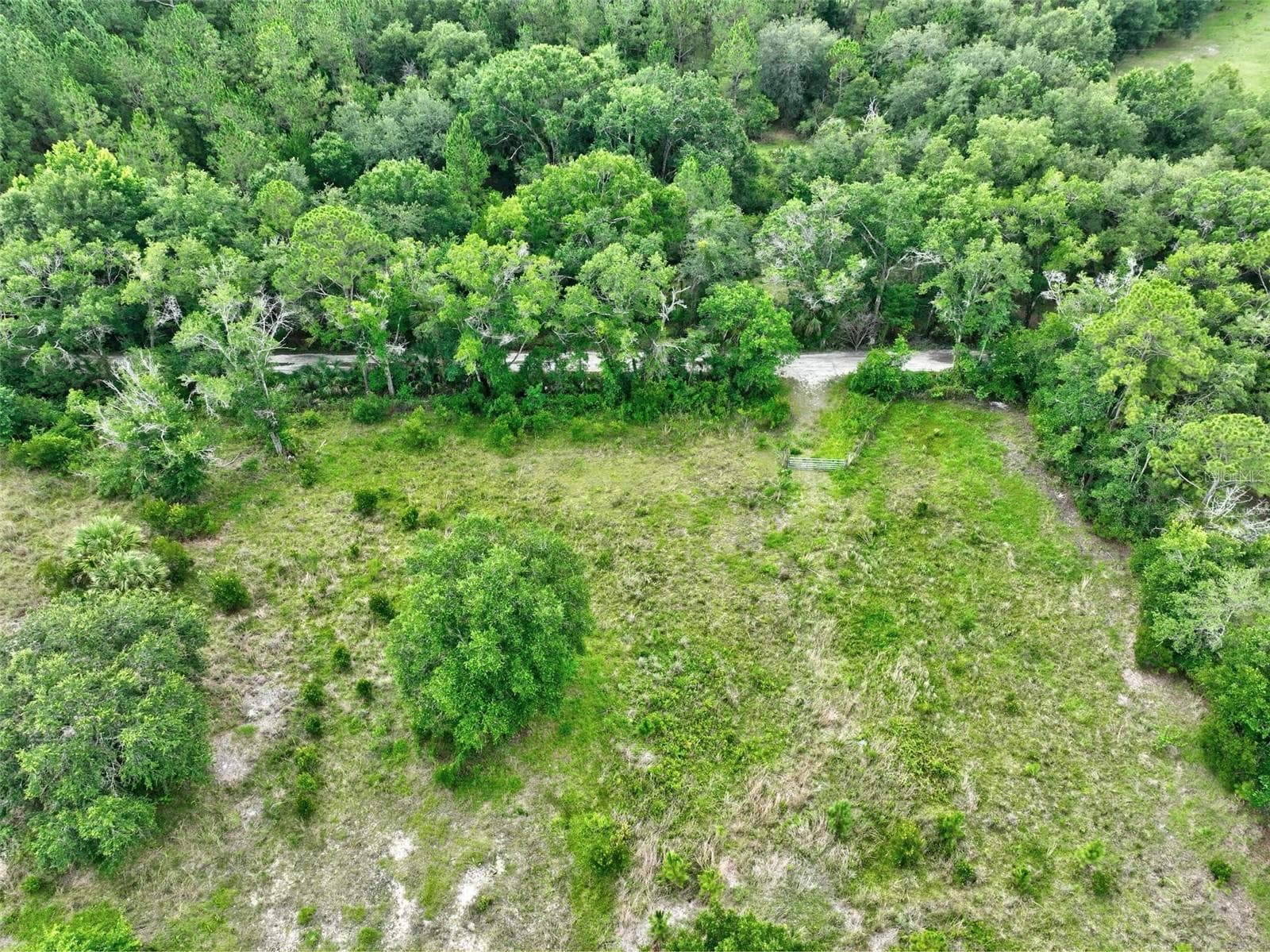 Land at 2075 COUNTRY ROAD 75, BUNNELL, photo 11 of 11