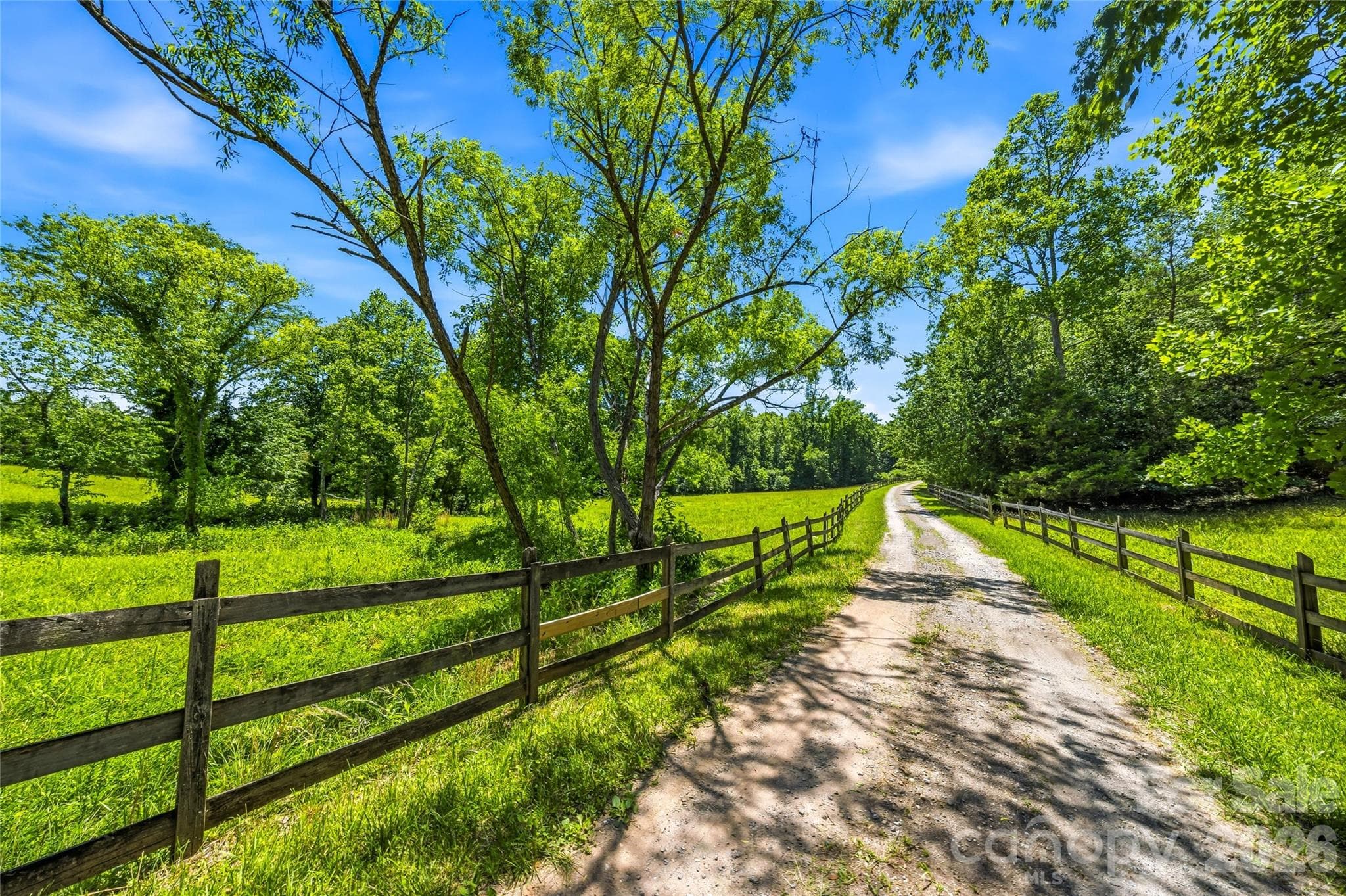 Beautiful approach into this gorgeous Property - 3012 Polk County Line Road, Rutherfordton