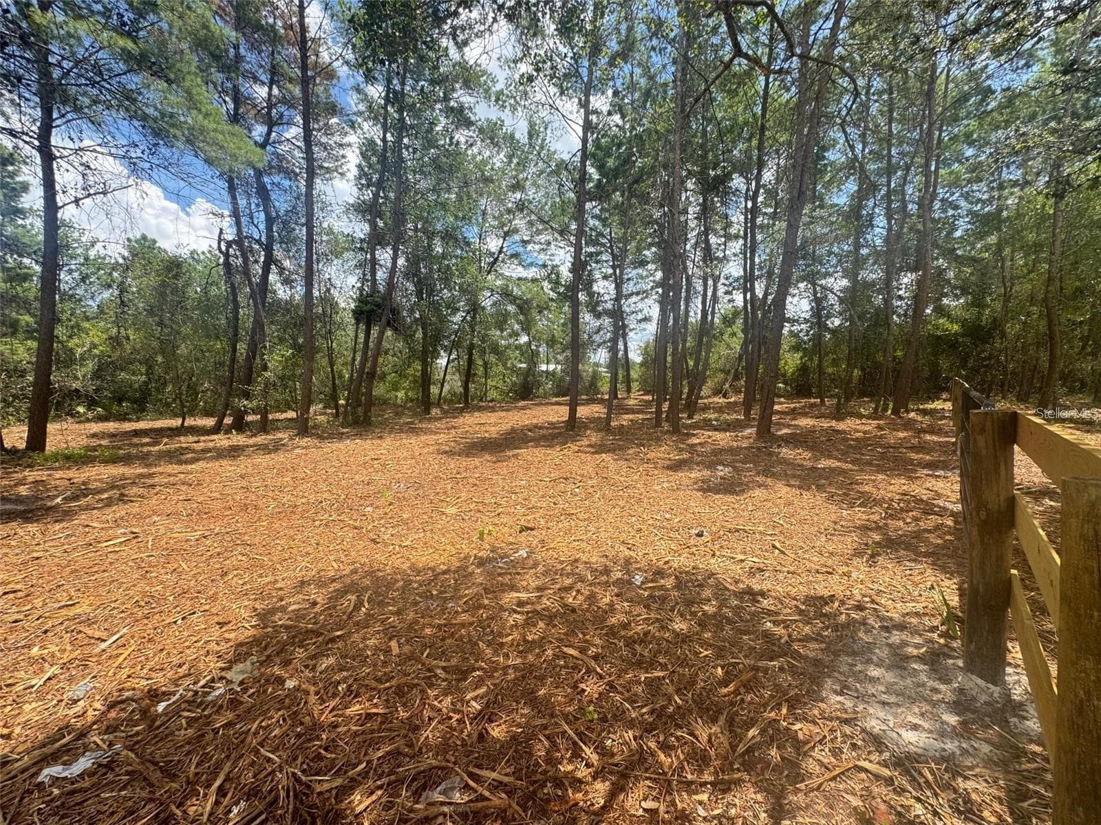 Land at E PINE ST, PAISLEY, photo 3 of 6