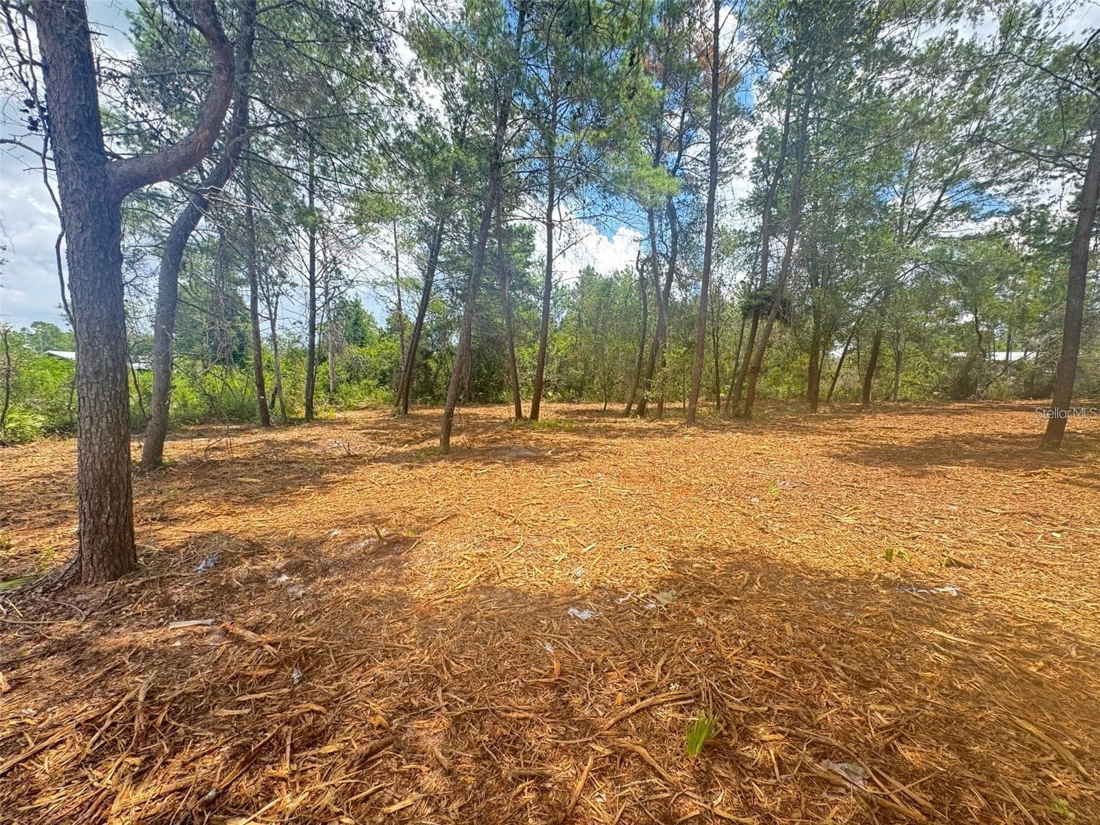 Land at E PINE ST, PAISLEY, photo 4 of 6