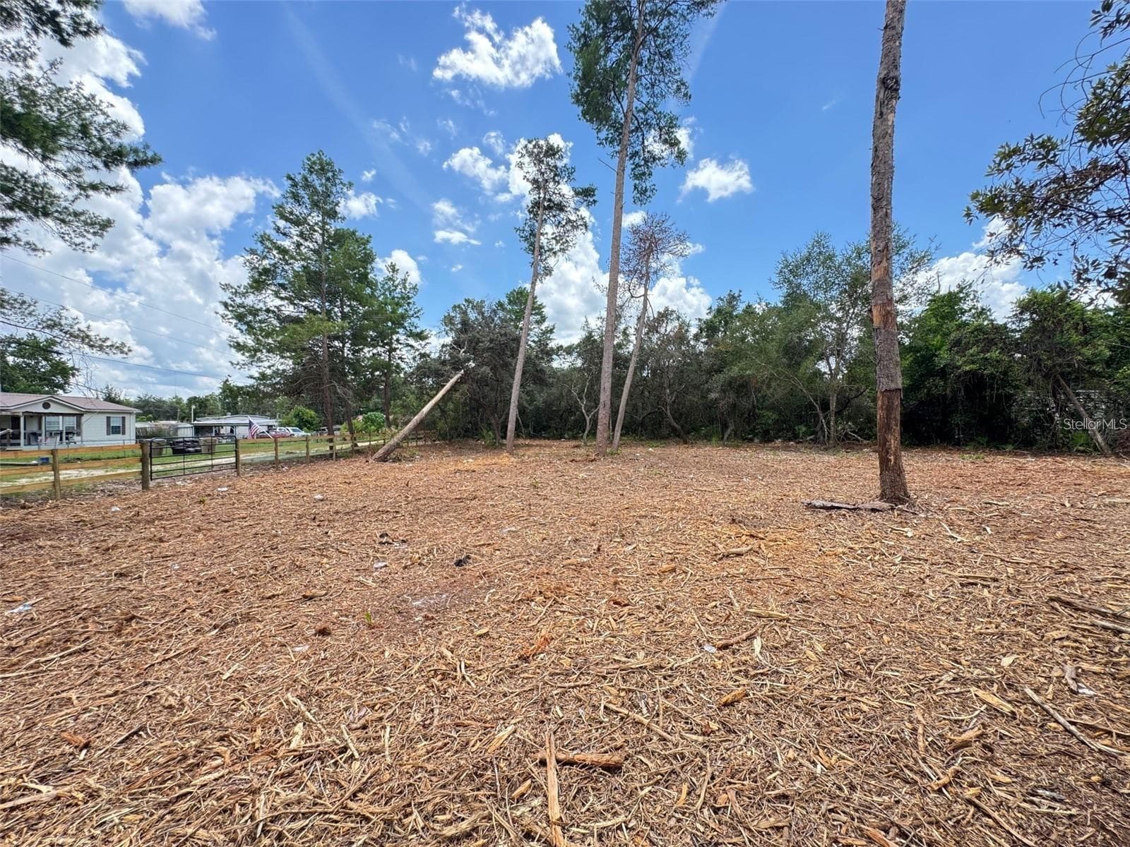 Land at W PINE ST, PAISLEY, photo 4 of 7