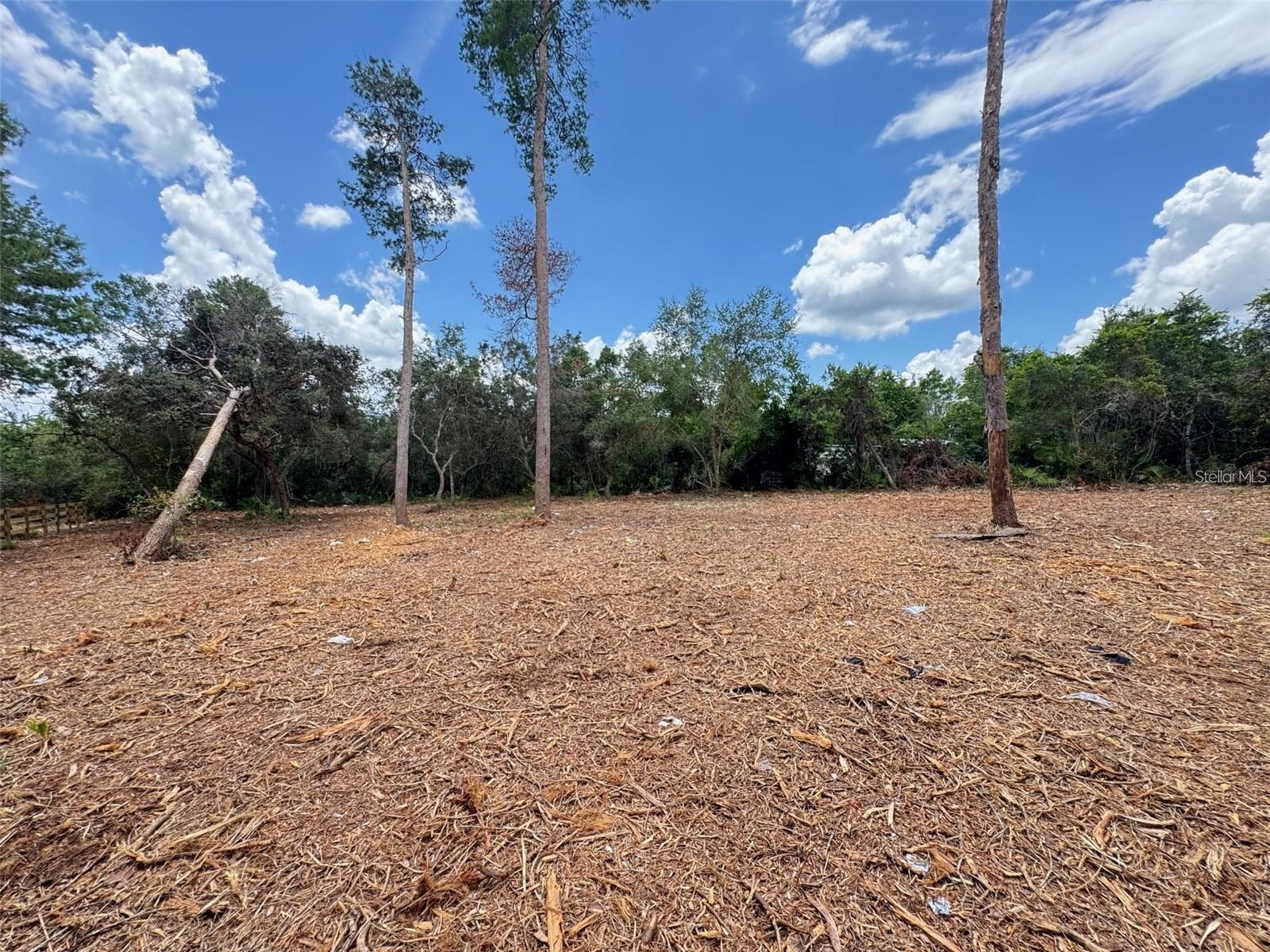 Land at W PINE ST, PAISLEY, photo 6 of 7