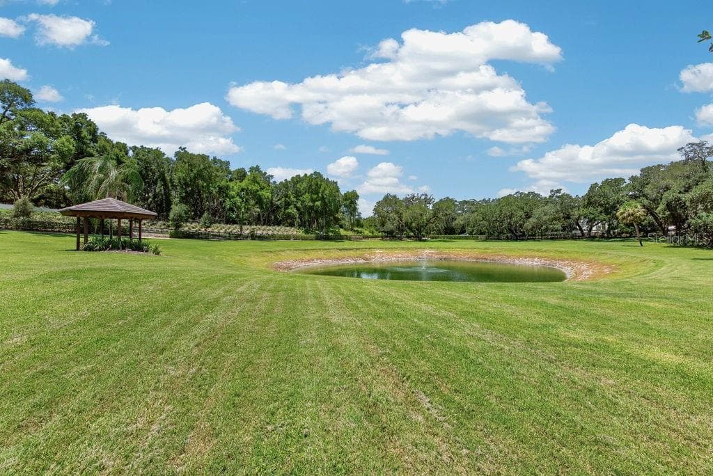 Single Family Residence at 1007 LAKEWOOD DR, BRANDON, photo 67 of 97