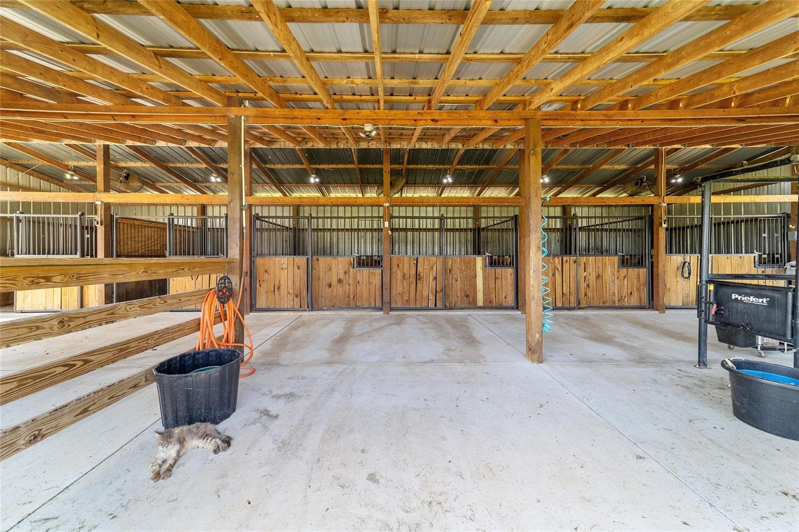 Farm at 1231 NW 102ND BLVD, WILDWOOD, photo 39 of 87