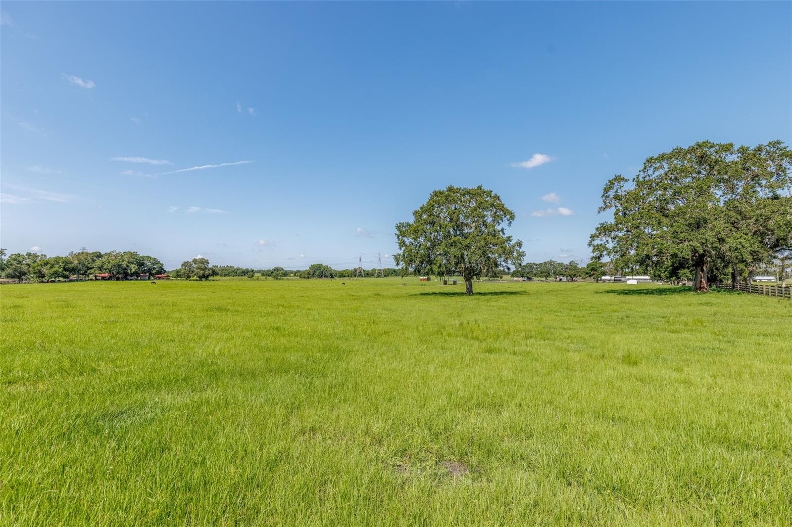 Farm at 1231 NW 102ND BLVD, WILDWOOD, photo 73 of 87