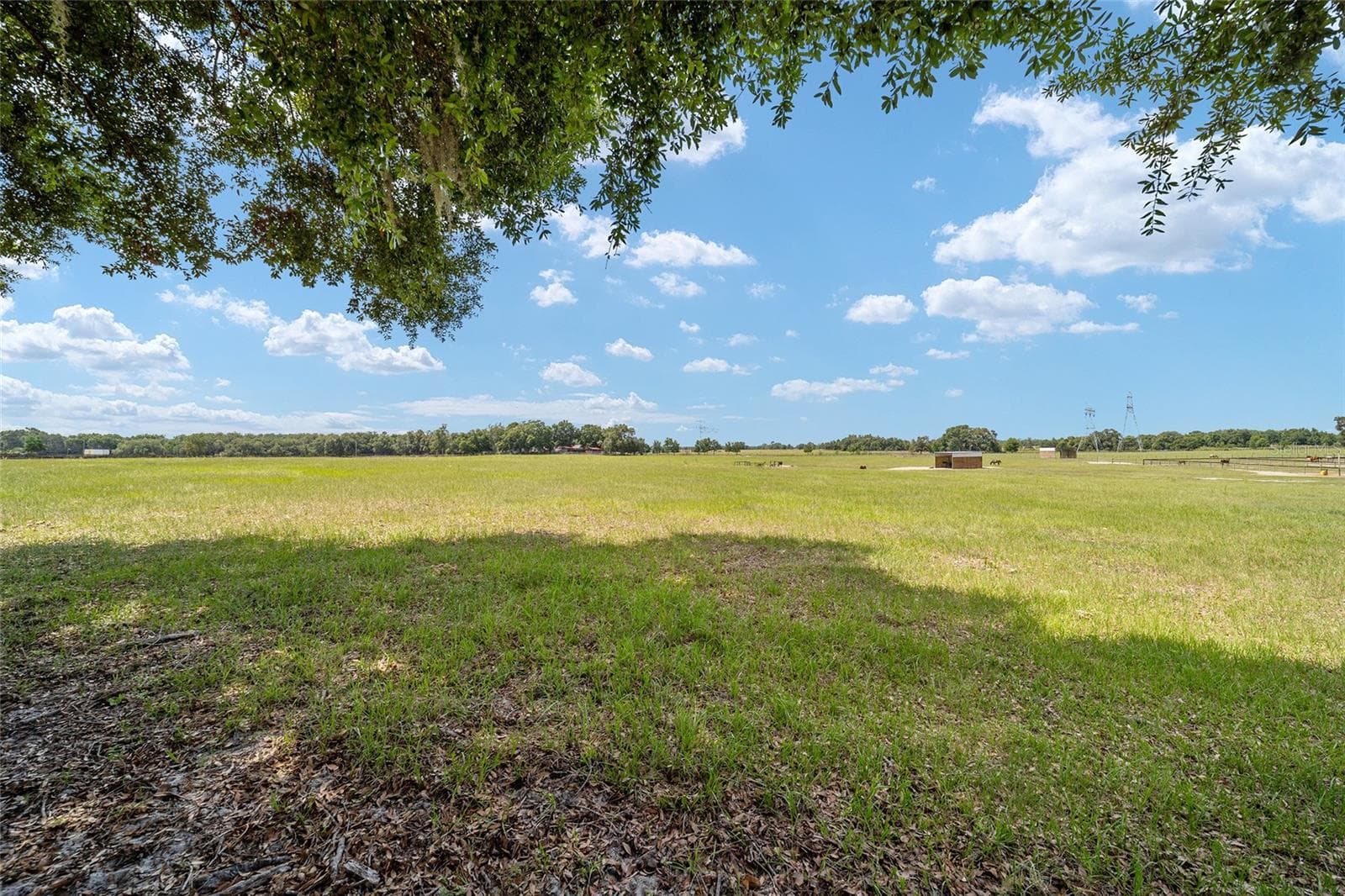 Farm at 1231 NW 102ND BLVD, WILDWOOD, photo 84 of 87