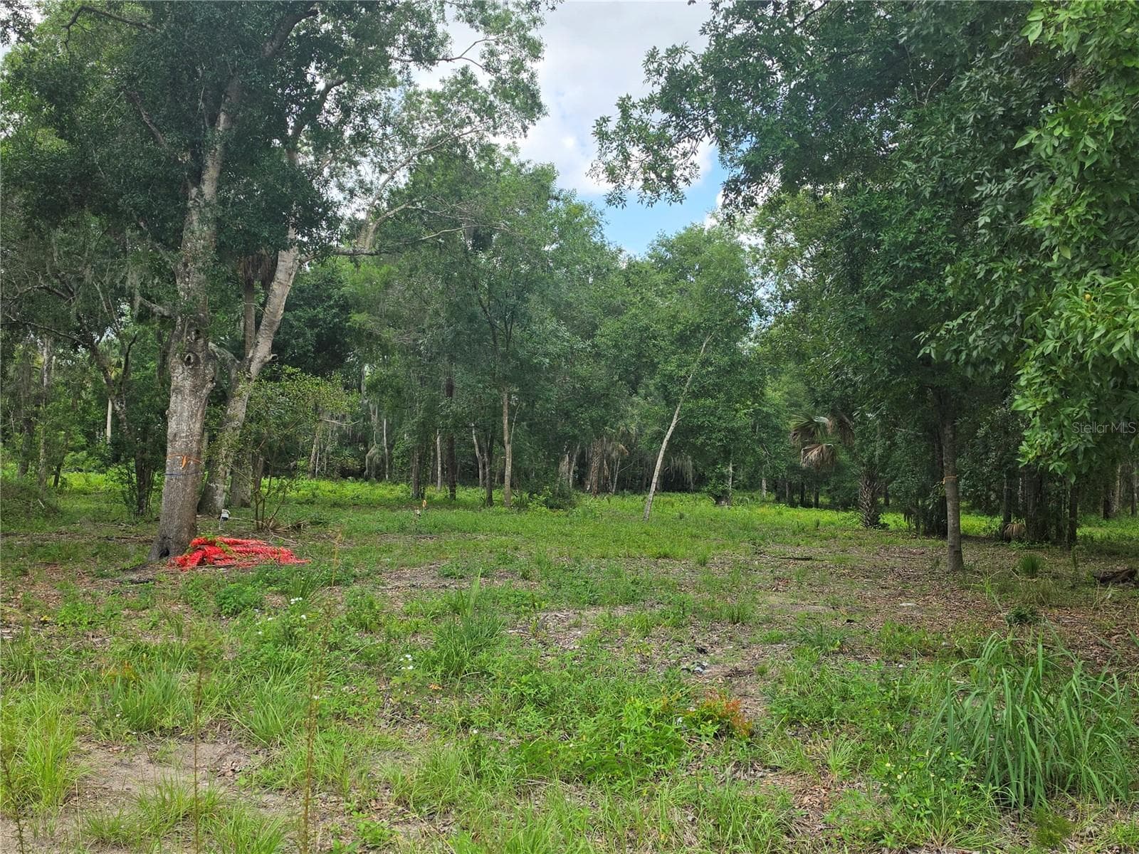 180 OAK DR