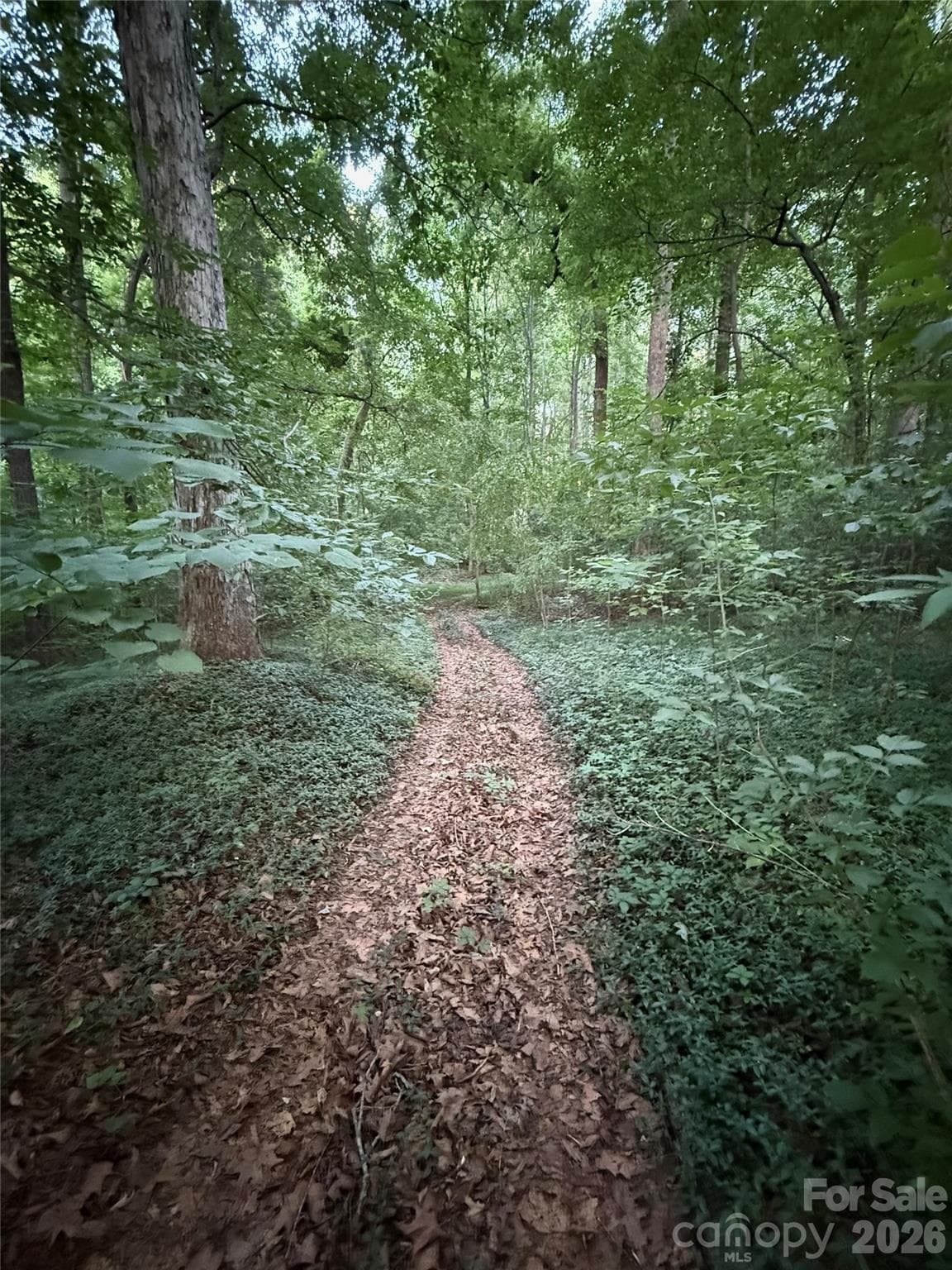 Trail behind property to pond - Statesville