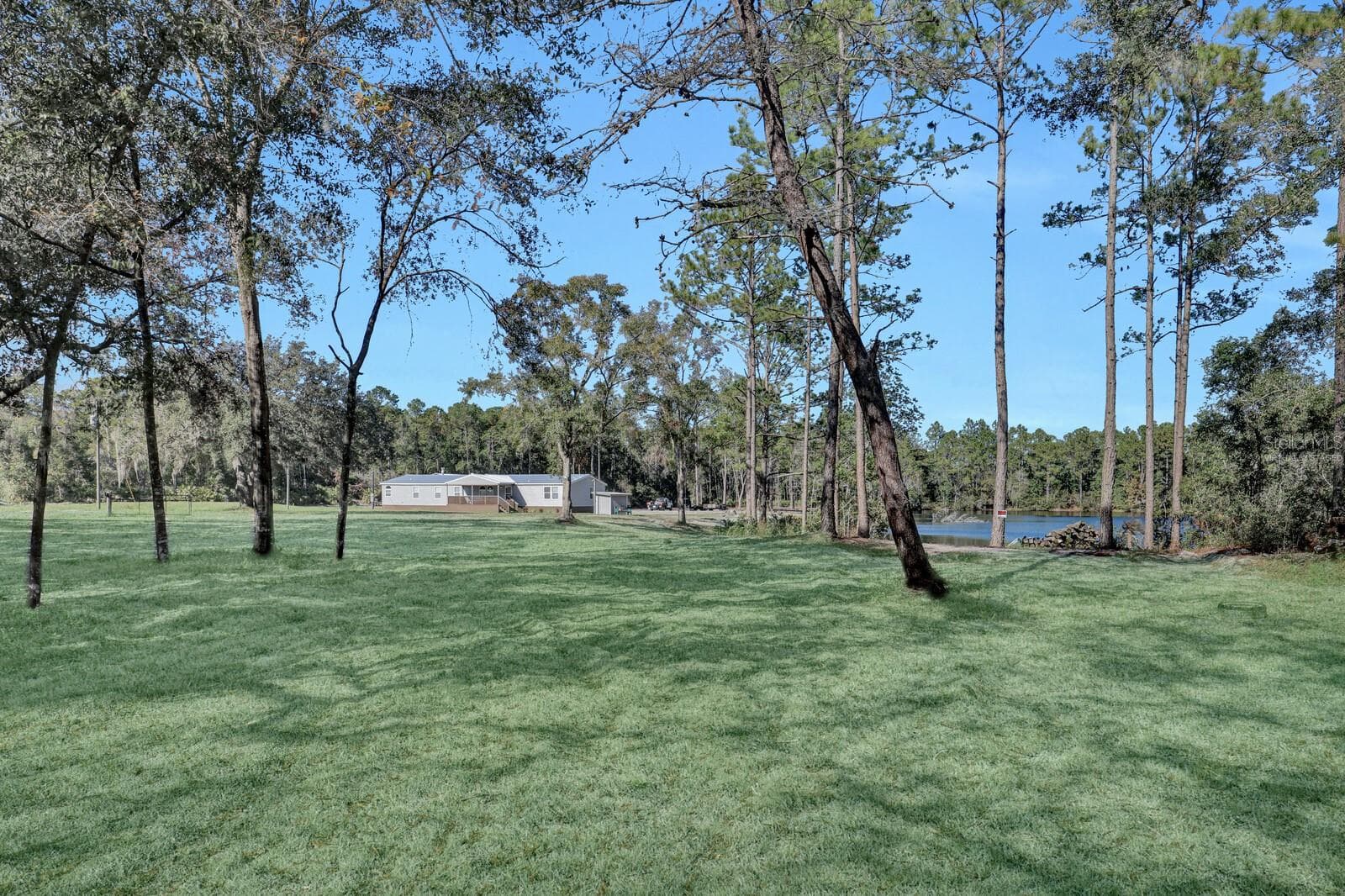Grass is Virtually Staged - 141 WOODS RD, SAN MATEO