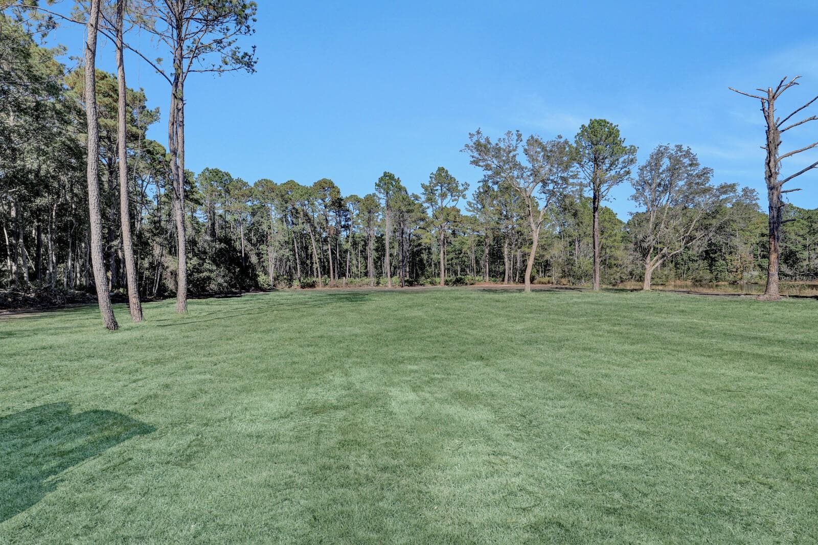Grass is Virtually Staged - 141 WOODS RD, SAN MATEO