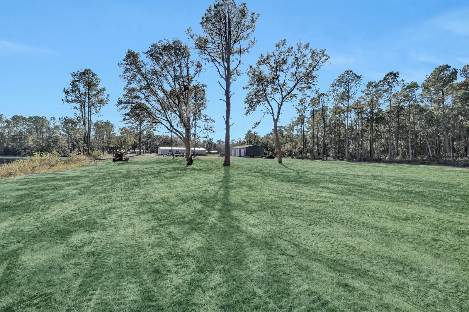Grass is Virtually Staged - 141 WOODS RD, SAN MATEO