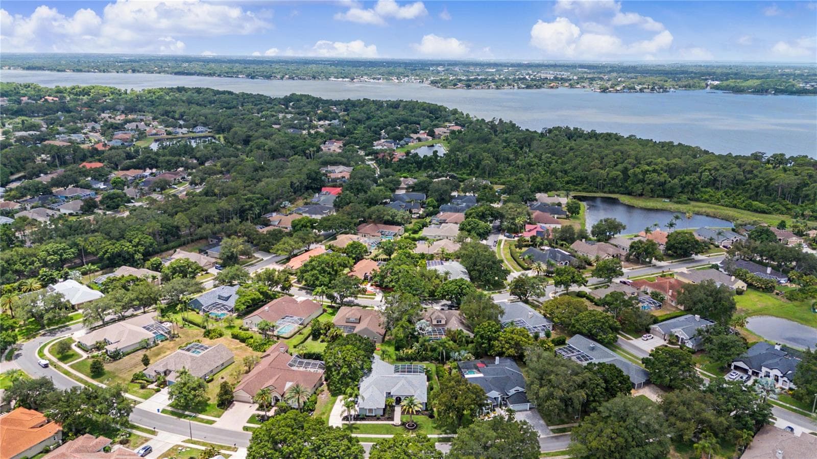 Single Family Residence at 3692 JOHNATHON AVE, PALM HARBOR, photo 70 of 97