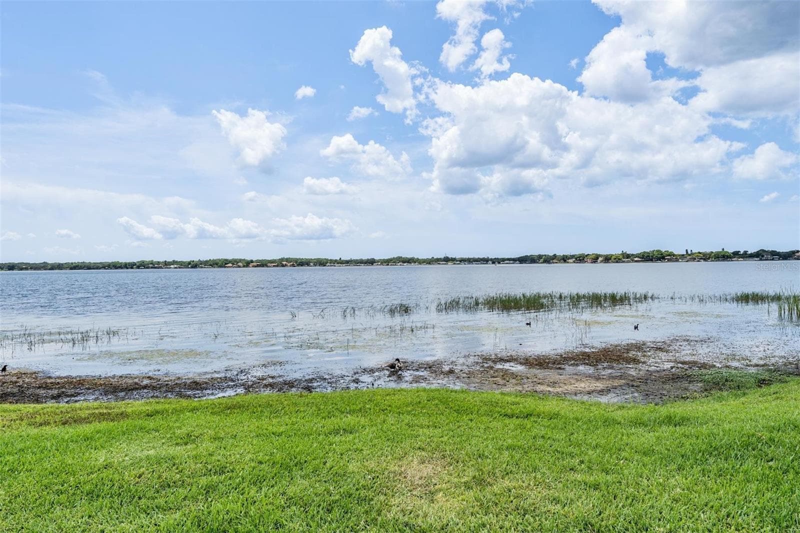Single Family Residence at 3692 JOHNATHON AVE, PALM HARBOR, photo 77 of 97