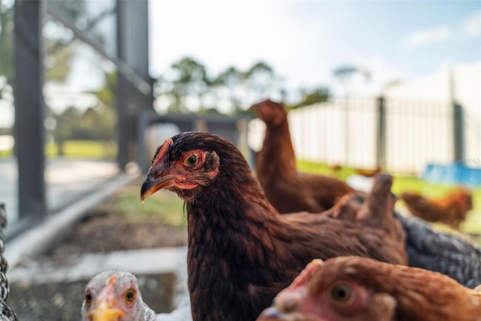 Single Family Residence at 3897 PROVINCE DR, MELBOURNE, photo 86 of 100