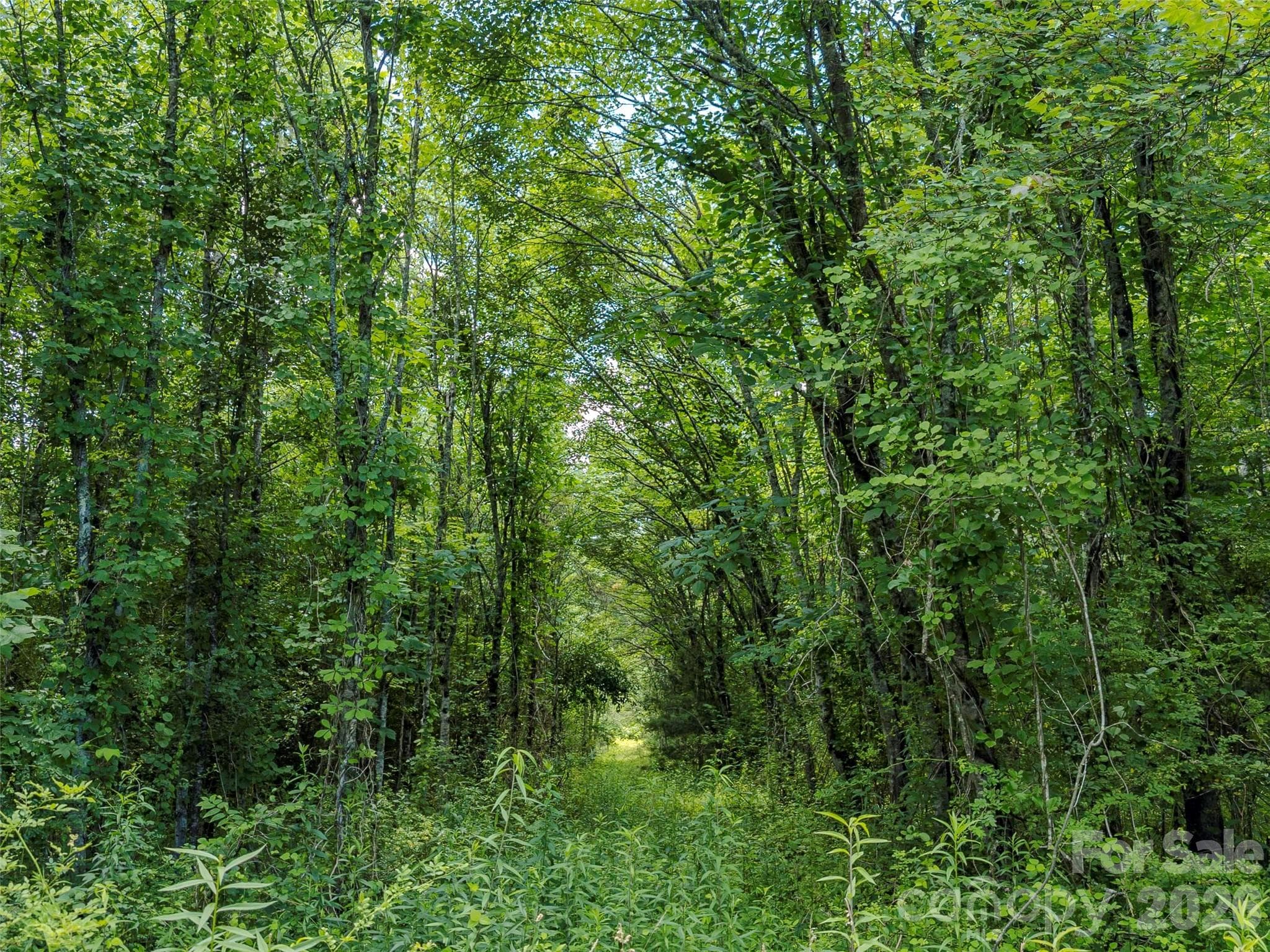 Farm at Pisgah Forest, photo 2 of 43