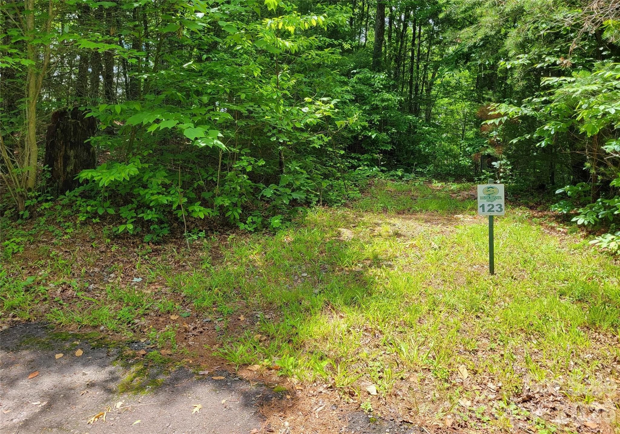 TBD Bear River Lodge Trail