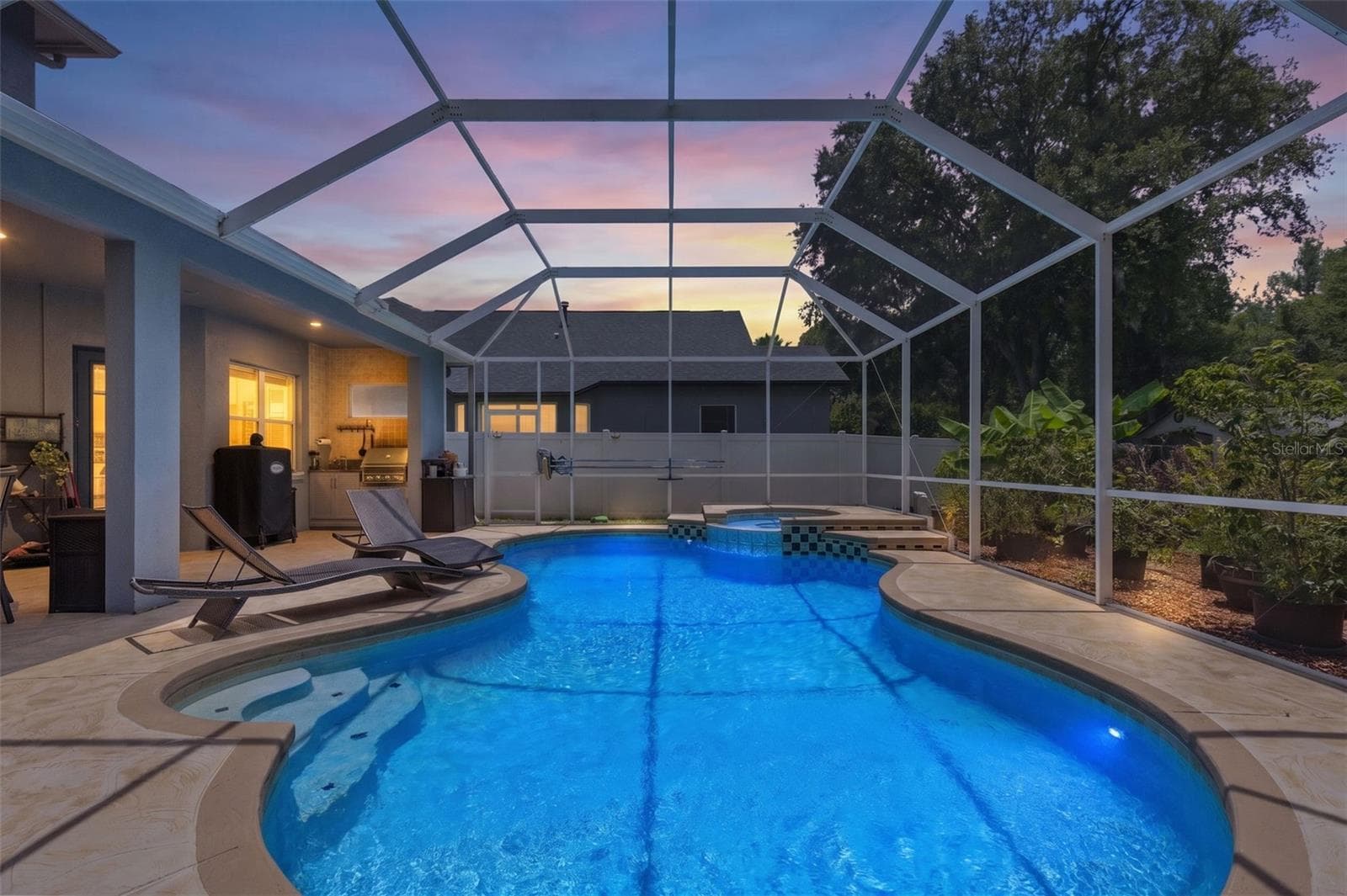 Enjoy endless entertainment in the pool and spa with screened lanai - 8380 GOLDEN PRAIRIE DR, TAMPA