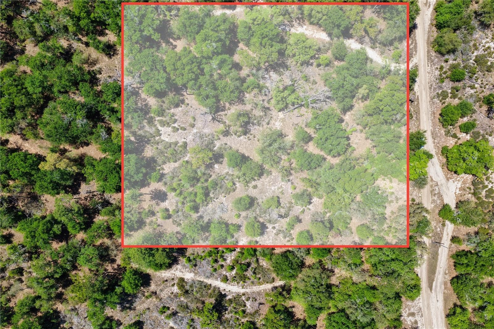 Land at 2 NE 125TH ST, BRONSON, photo 4 of 19