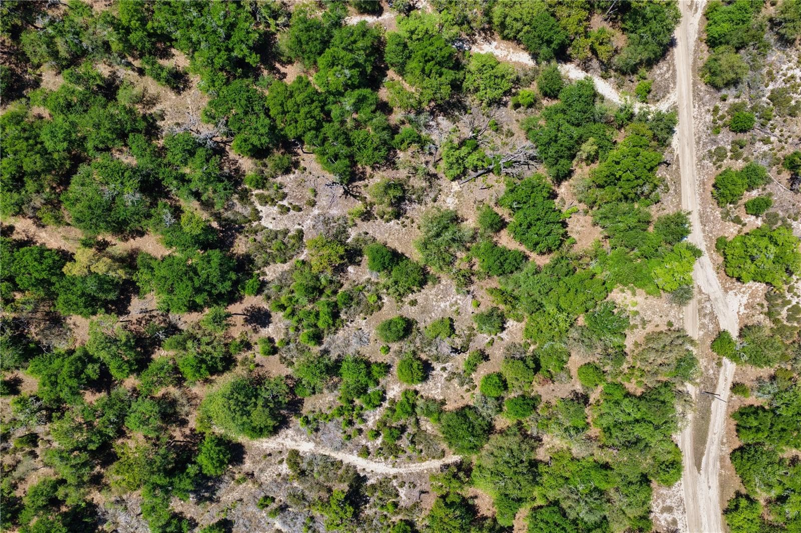 Land at 2 NE 125TH ST, BRONSON, photo 5 of 19