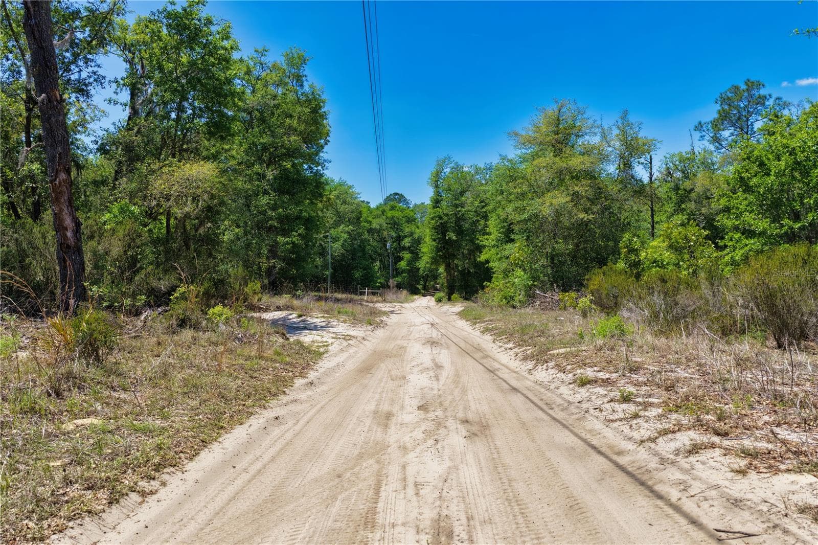 Land at 2 NE 125TH ST, BRONSON, photo 7 of 19