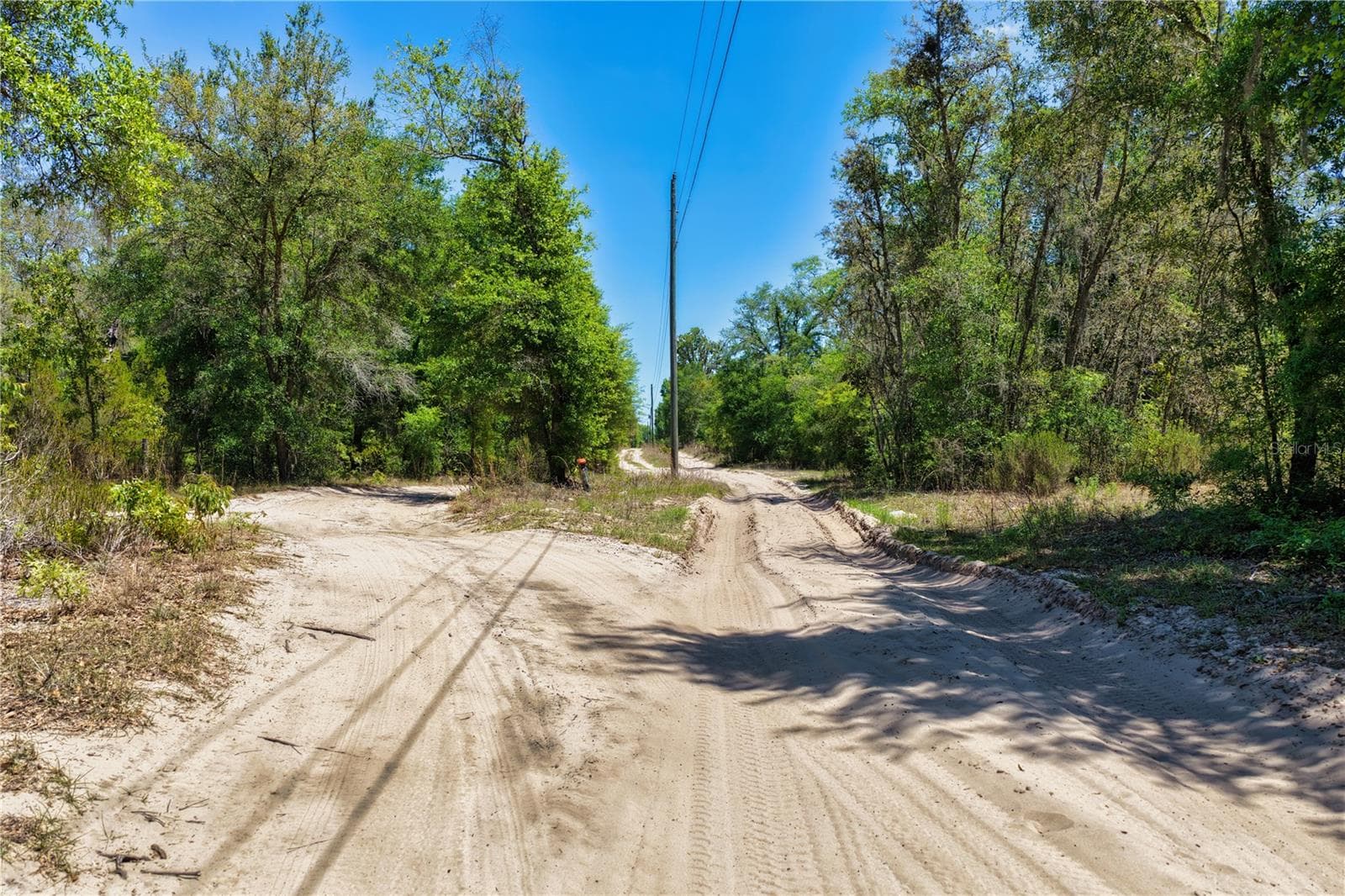 Land at 2 NE 125TH ST, BRONSON, photo 8 of 19