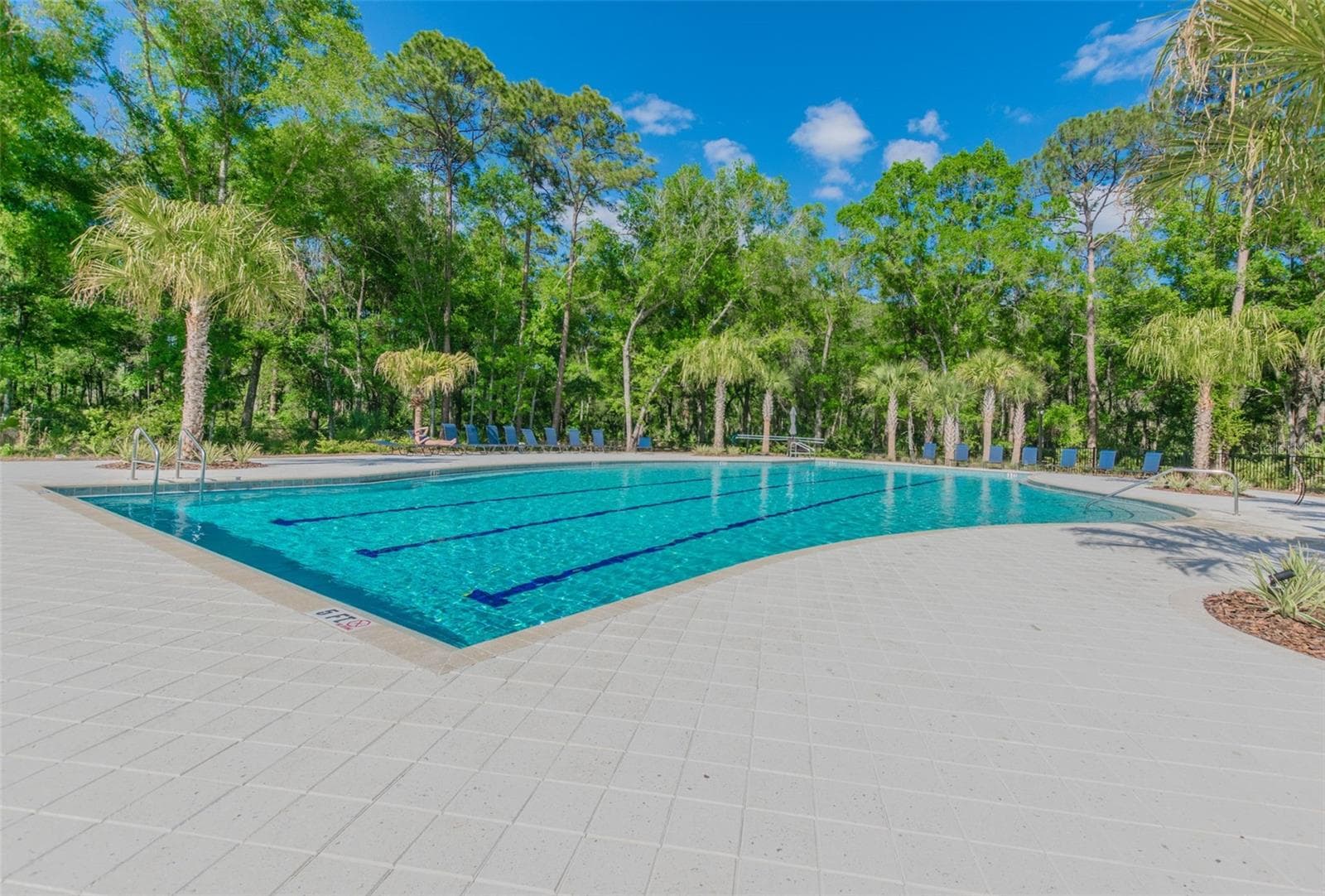 Single Family Residence at 17576 TERRAZZO WAY, LAND O LAKES, photo 75 of 80