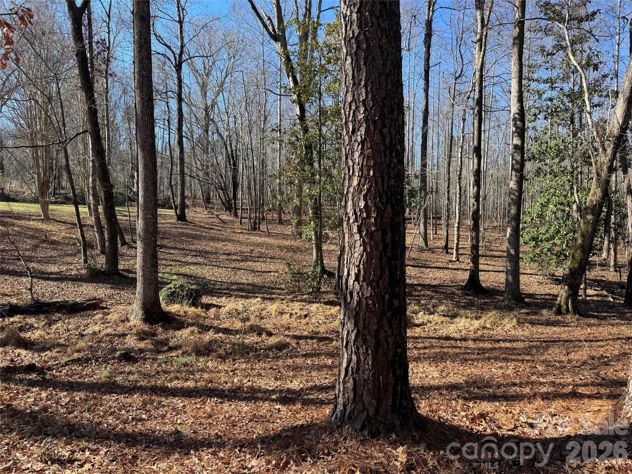 Lot at 0 BISCOE Road, Troy, photo 2 of 17