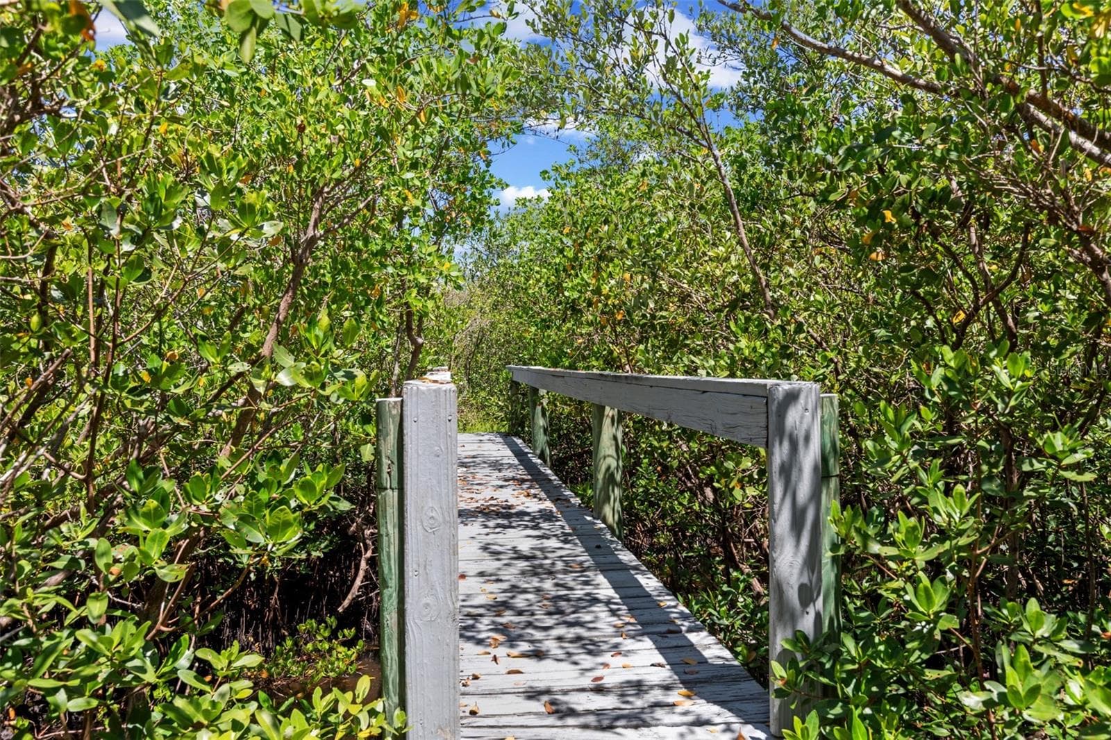 Path to dock - 609 42ND STREET CT W, PALMETTO