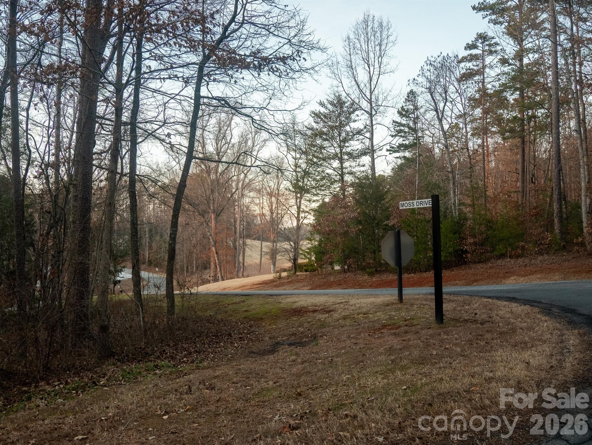 Lot at 00 Moss Drive, Rutherfordton, photo 5 of 6