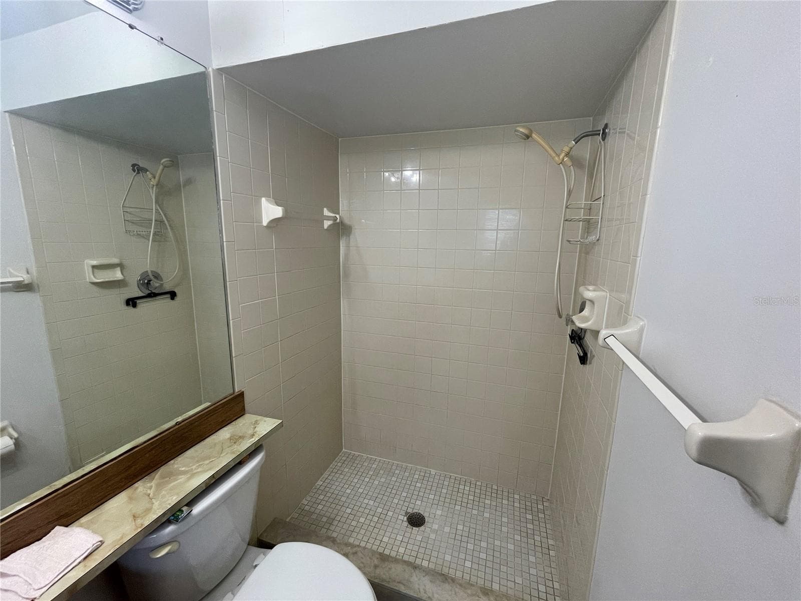 Primary Bathroom - 11001 SUNSWEPT PL, TAMPA
