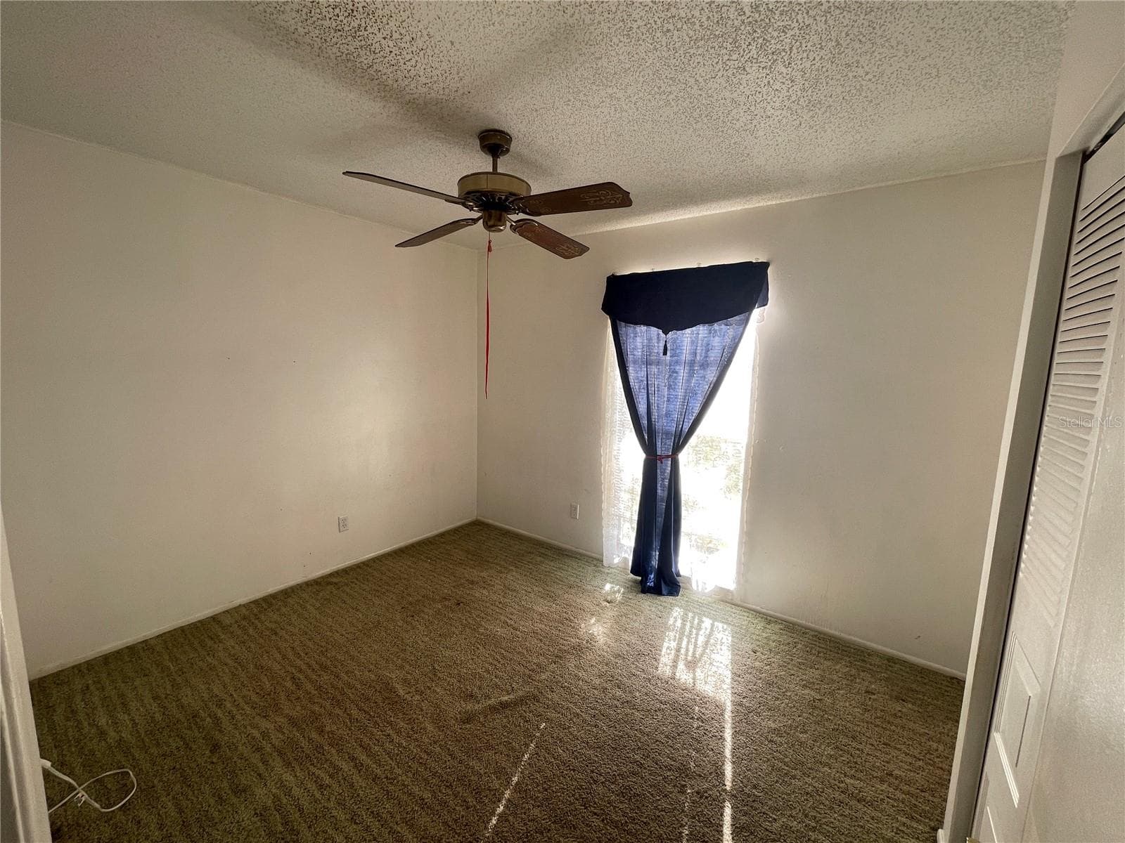 Bedroom - 11001 SUNSWEPT PL, TAMPA