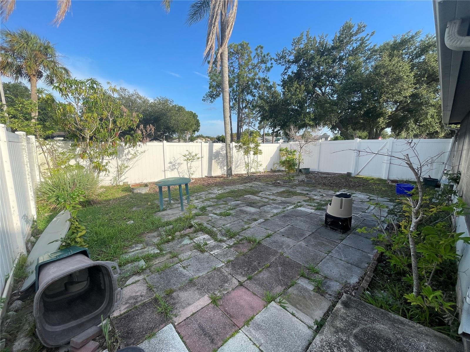 Backyard - 11001 SUNSWEPT PL, TAMPA