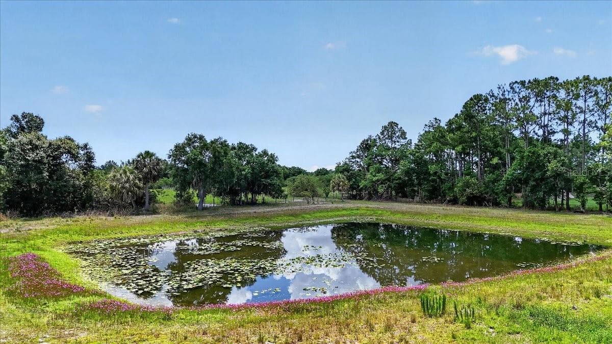 Land at 7505 274TH ST E, MYAKKA CITY, photo 13 of 17